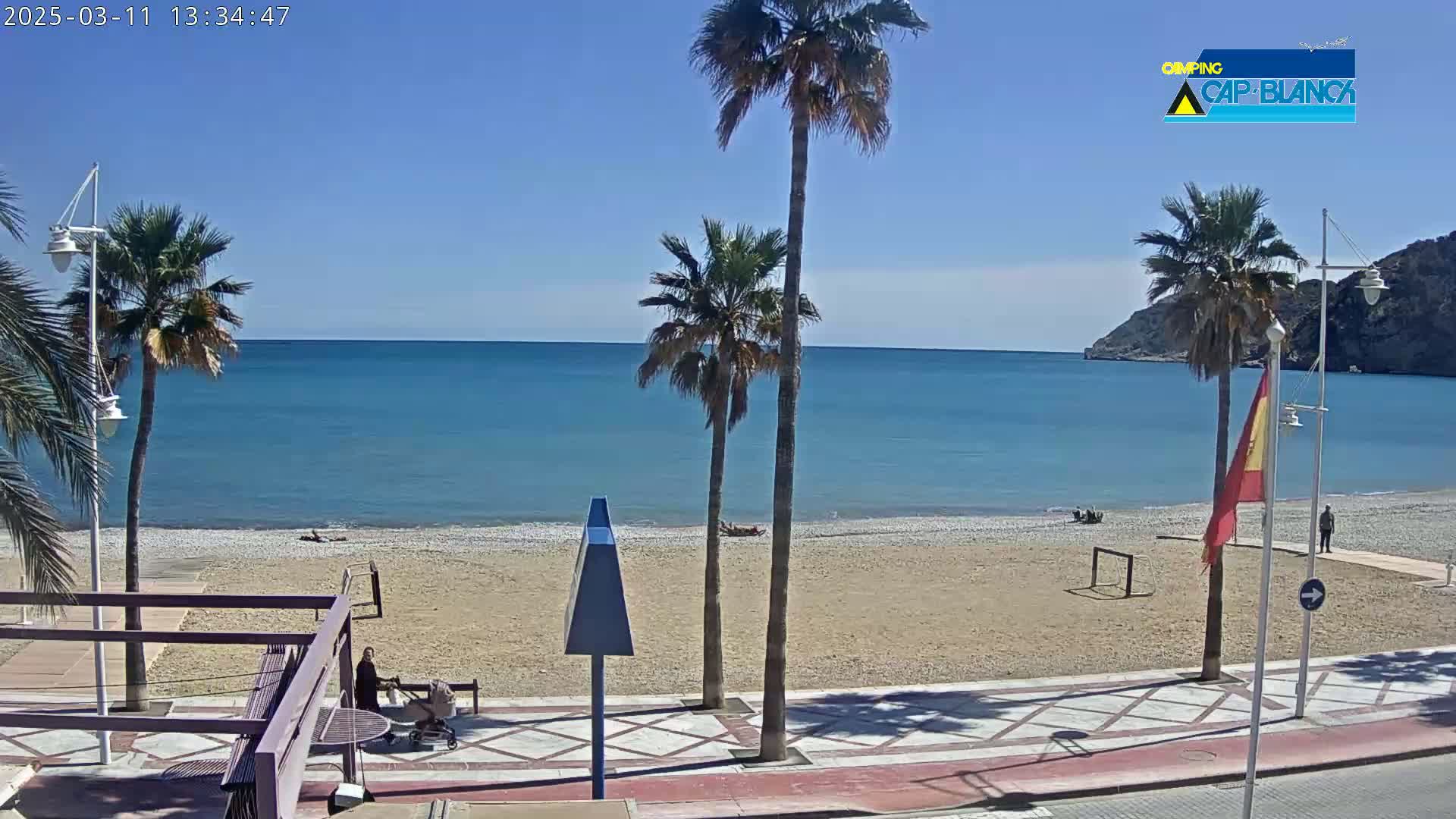 A sandy beach with palm trees and a calm, blue sea under a clear, sunny sky is seen from a boardwalk.
