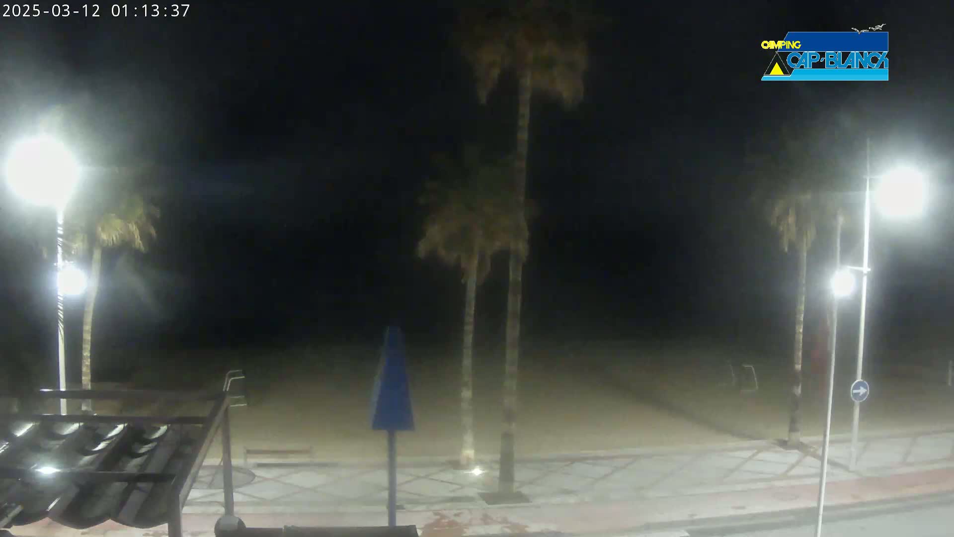A nighttime beach scene shows palm trees illuminated by streetlights on a paved walkway next to a sandy beach.