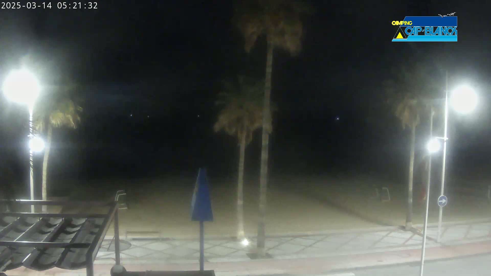 A nighttime view of a beach with palm trees, streetlights, and a paved walkway.