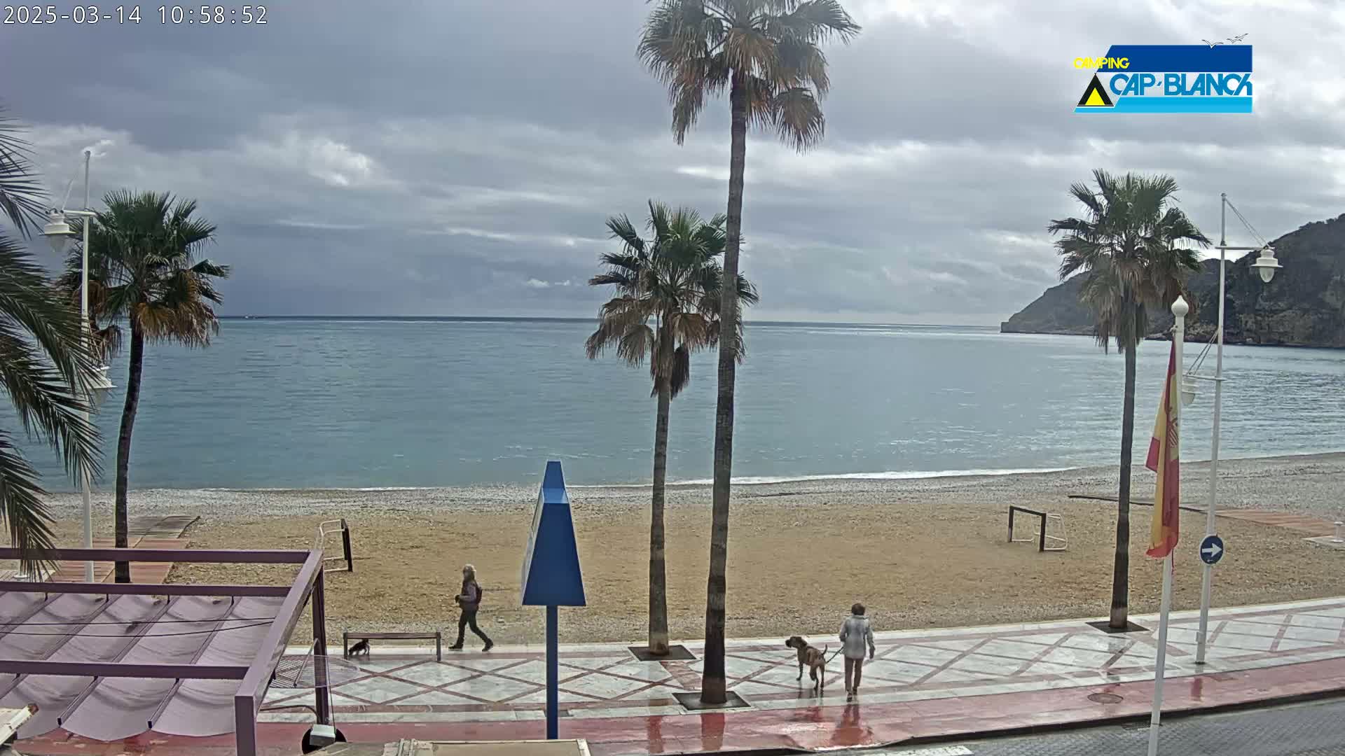 A sandy beach with palm trees and a calm sea under an overcast sky, and two people walking with a dog along a paved walkway.