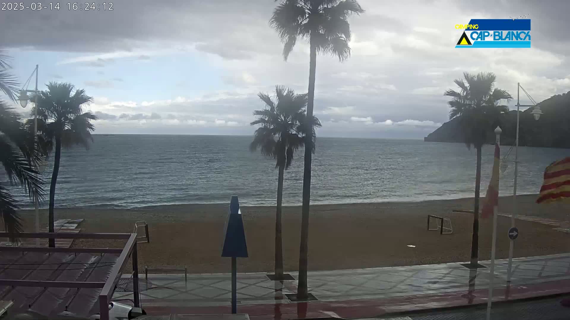 A mostly cloudy day shows a sandy beach with palm trees, a promenade, and calm ocean waves.