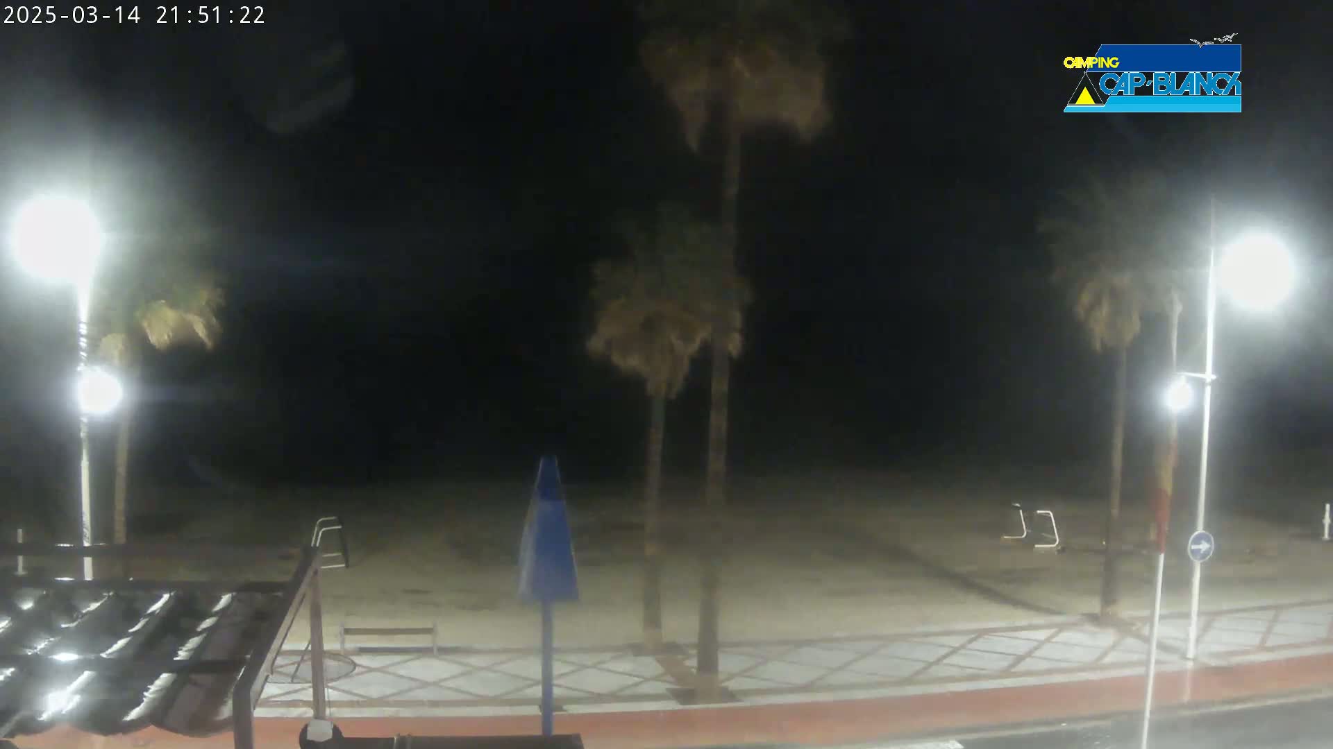 A nighttime view of a beach with palm trees, streetlights, and some exercise equipment under a dark sky.
