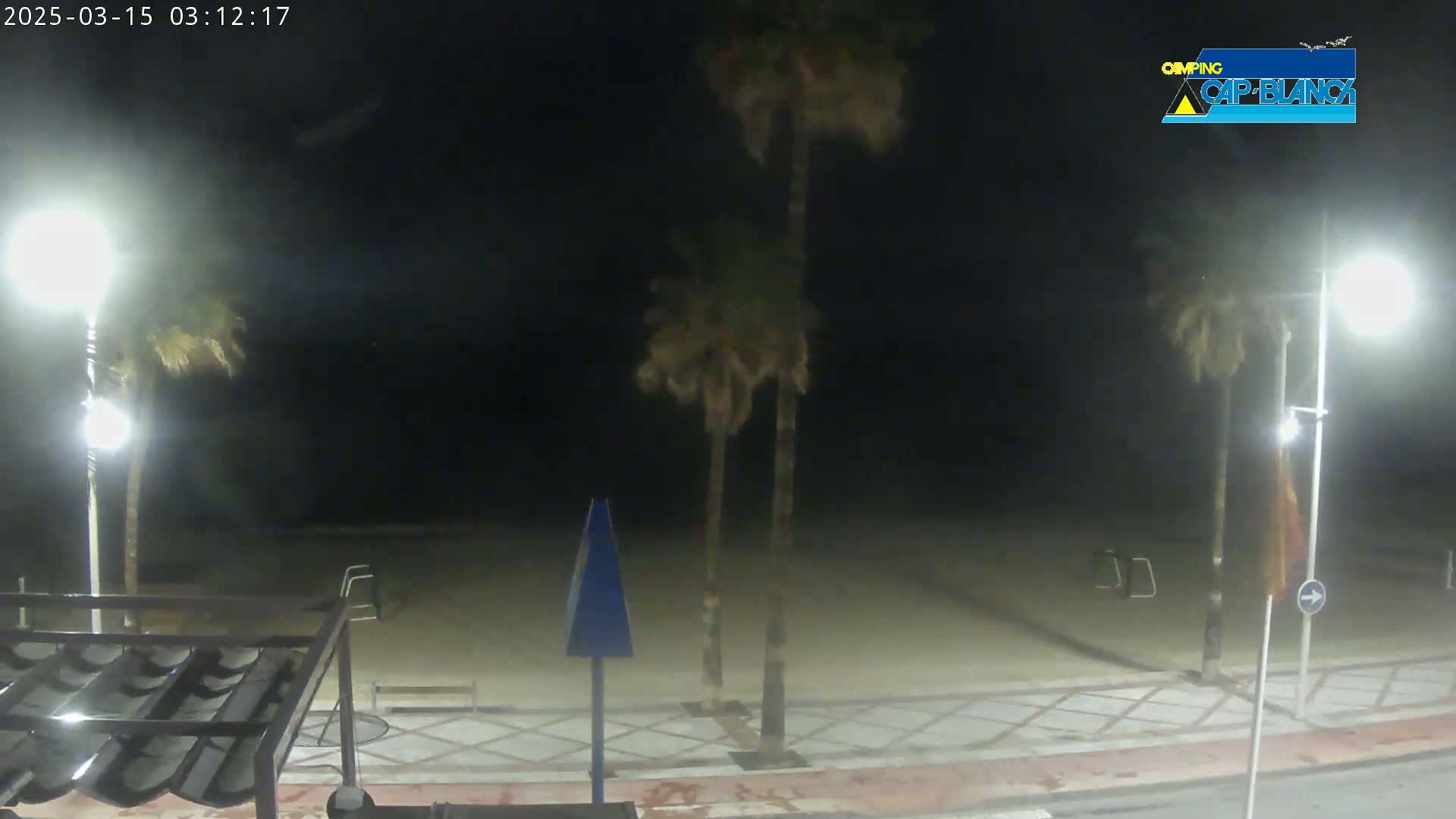 At night, a mostly empty sandy beach is illuminated by streetlights, with palm trees visible in the background.