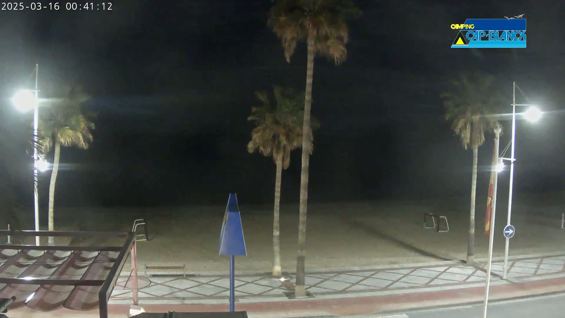 A nighttime view of a sandy beach with palm trees lining a paved walkway under bright streetlights.
