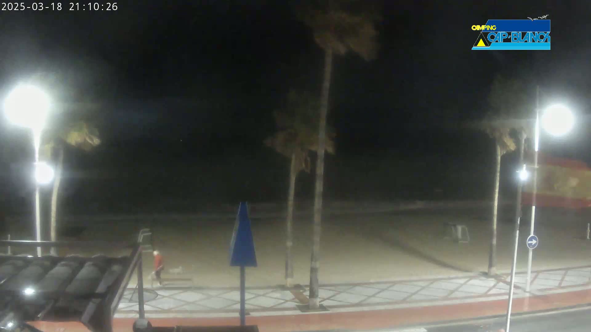A nighttime beach scene shows a sandy beach area with palm trees, bright lights, and a person walking along a tiled walkway.