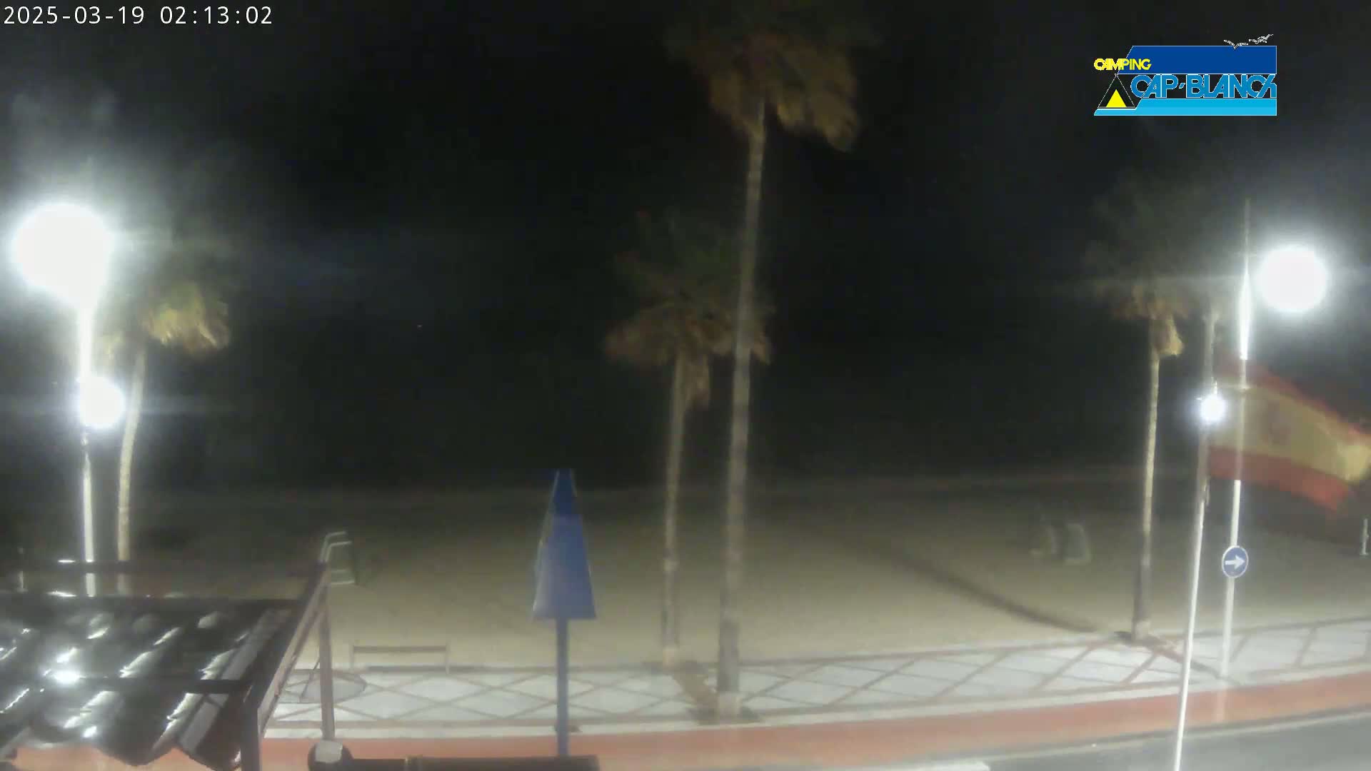 A nighttime view of a beach area with palm trees, streetlights, and a paved walkway under a dark, clear sky.