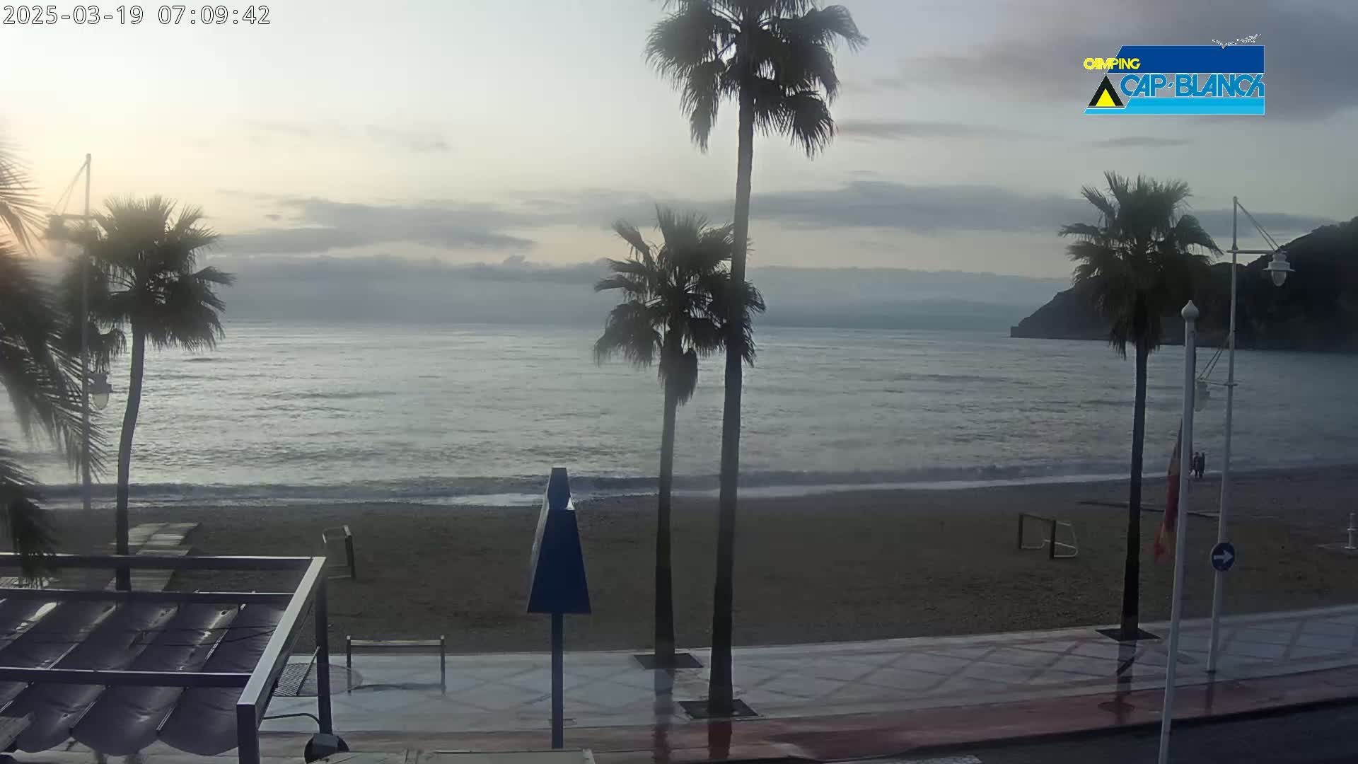 A beach with palm trees along a promenade, overlooking a calm sea under an overcast sky.