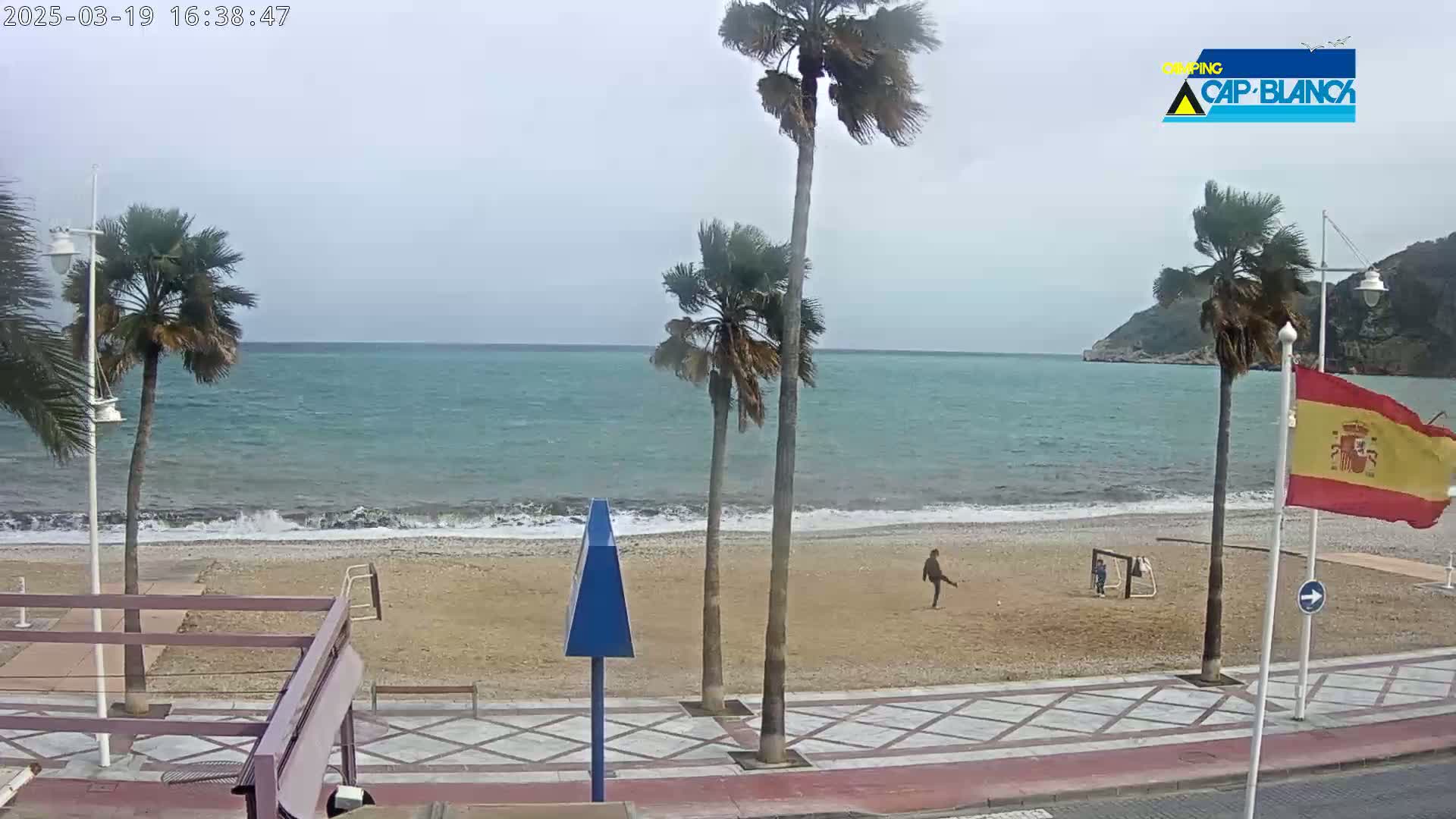 A windy day at a beach with palm trees, a sandy shore, and a person kicking a ball.