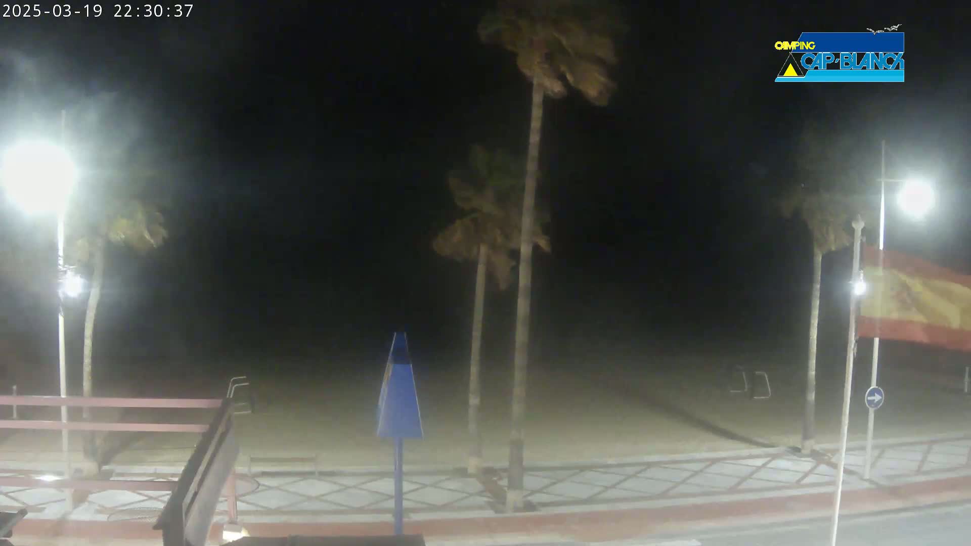 A nighttime view of a beach with palm trees swaying in the wind, streetlights illuminating a paved walkway next to sandy beach.