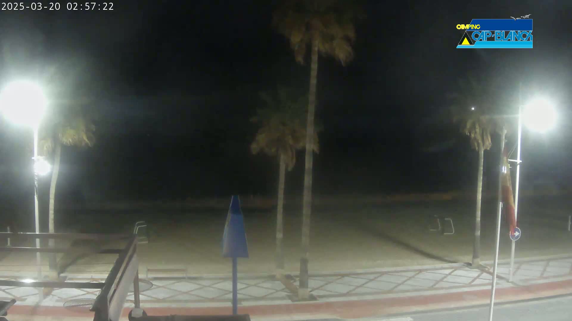 A nighttime view of a sandy beach area with palm trees, streetlights, and a paved walkway.