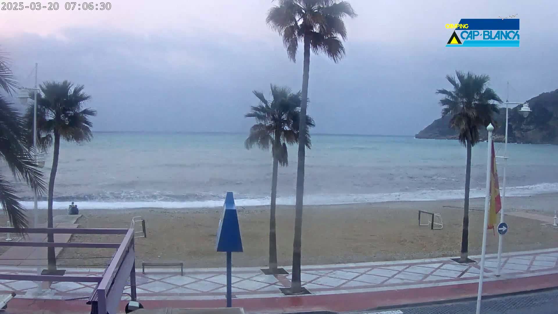 A beach with palm trees and a calm sea under an overcast sky.