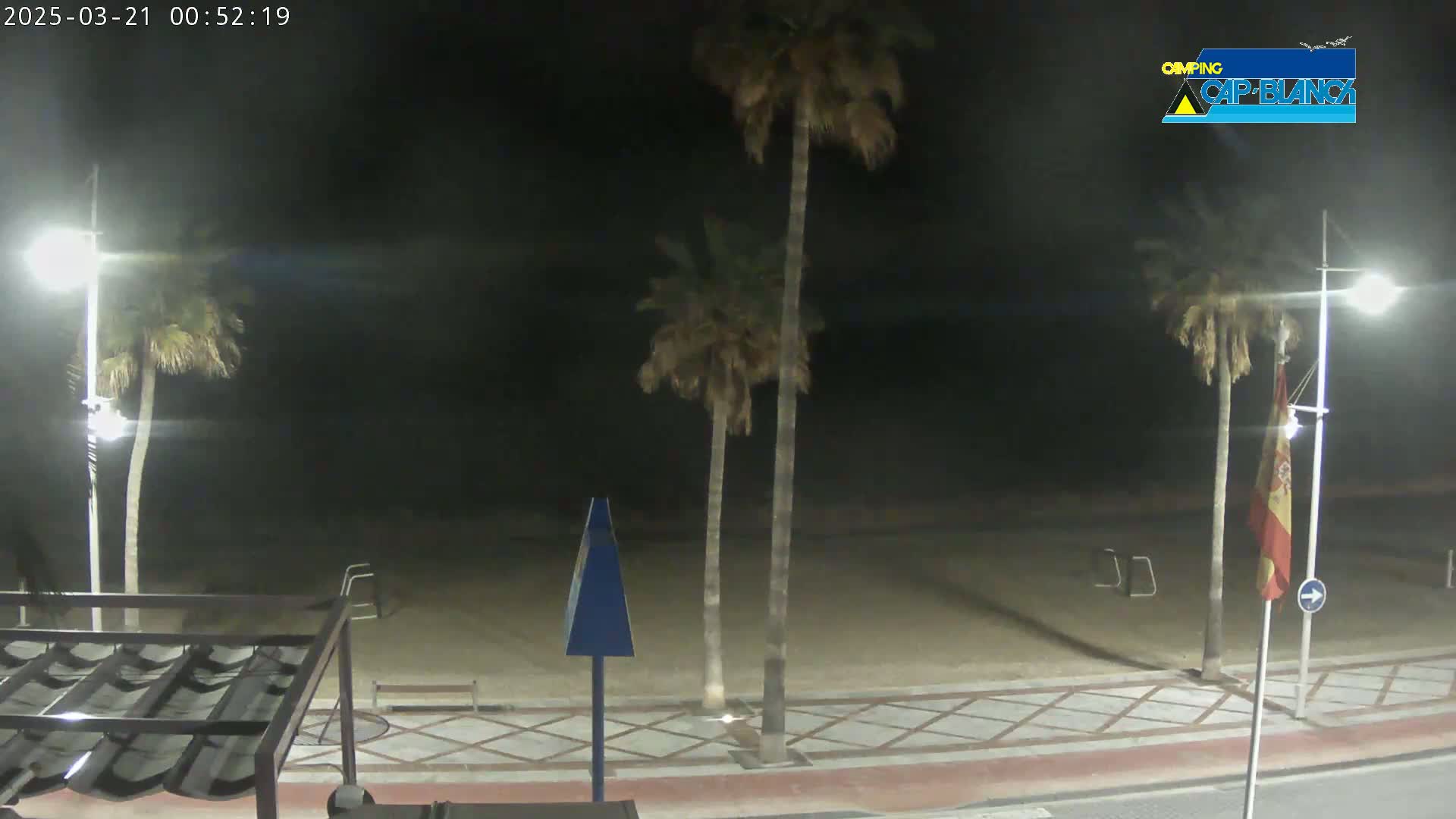 At night, a sandy beach is illuminated by streetlights, with palm trees lining a paved walkway.