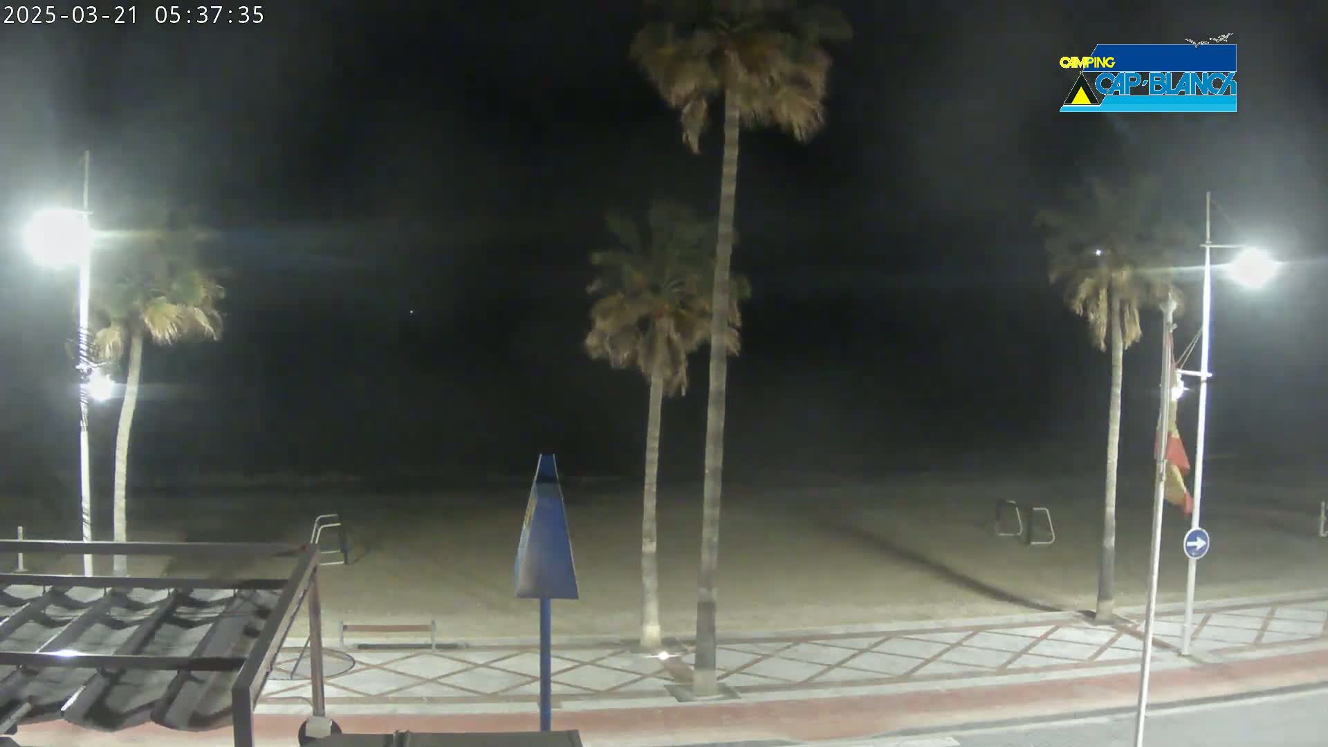 A nighttime view of a sandy beach with palm trees, streetlights, and a paved walkway under a dark sky.