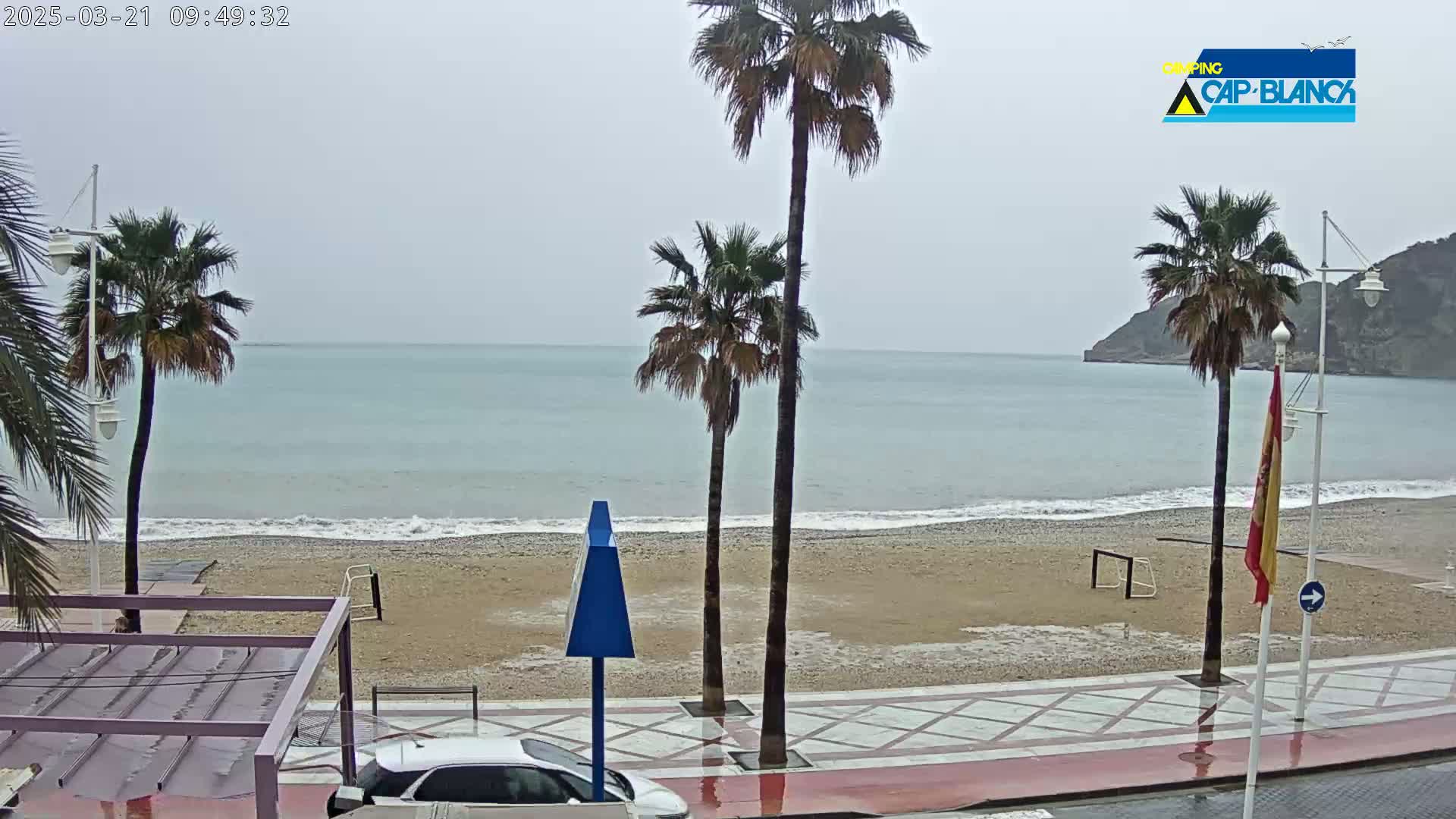 A wet beach with palm trees and a calm sea under an overcast sky is viewed from a seaside promenade.