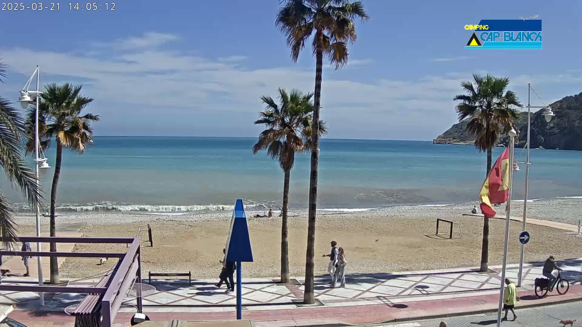 A sunny beach scene shows palm trees lining a paved walkway next to a sandy beach with light waves lapping the shore, and a few people walking along the path and on the beach.