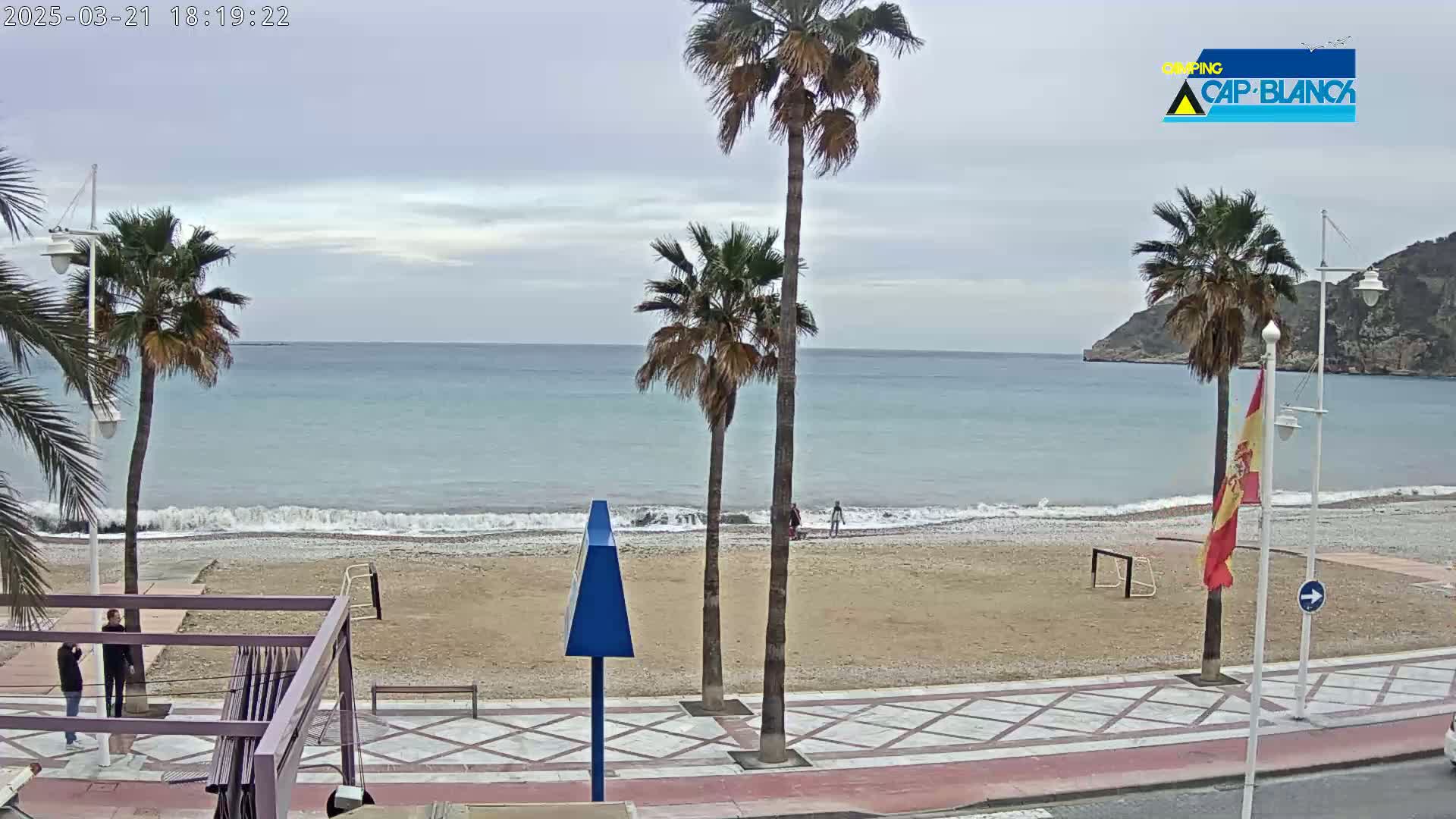 A beach with calm waves under an overcast sky is viewed from a paved walkway lined with palm trees.