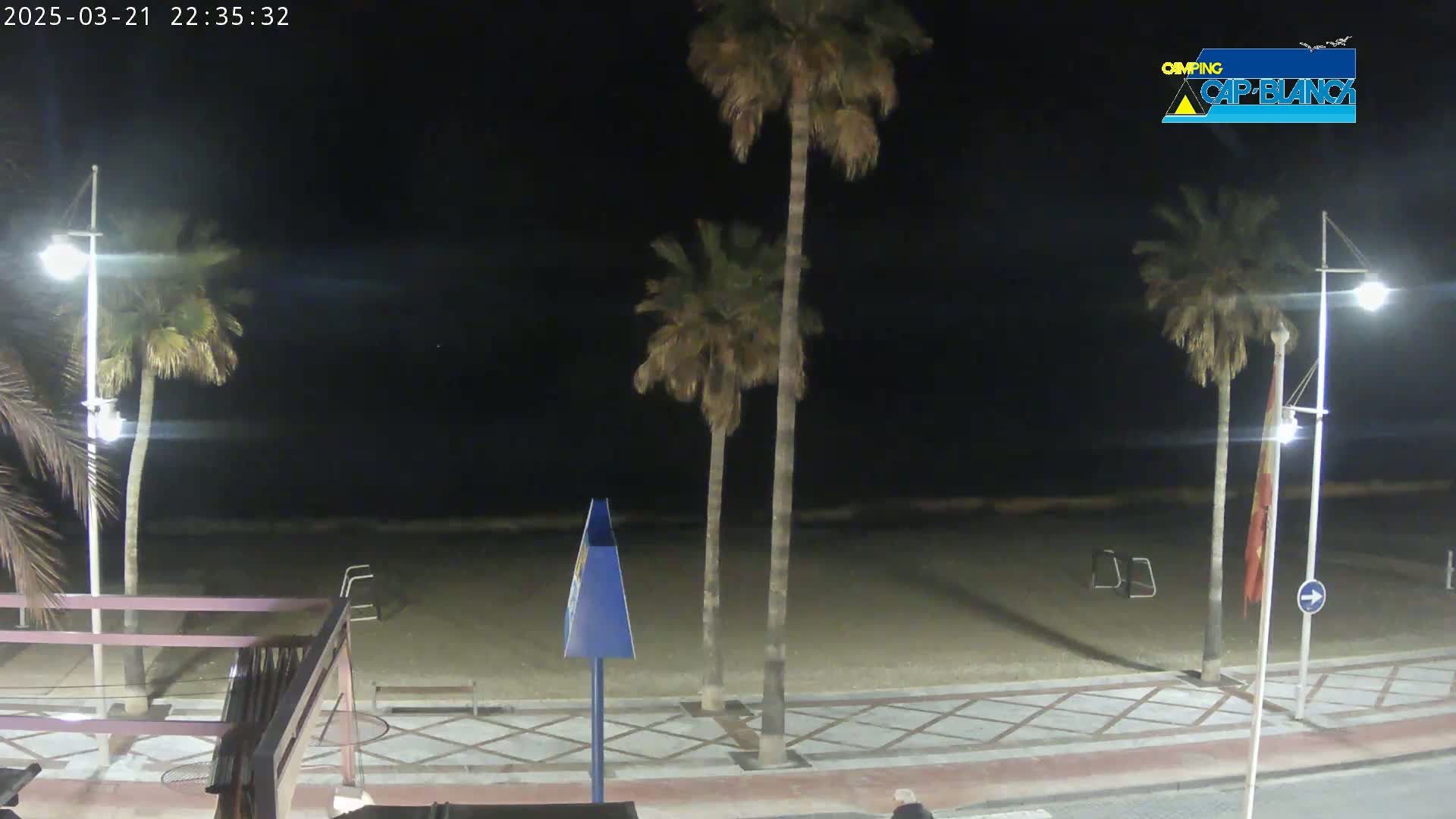 A nighttime view of a sandy beach with palm trees and streetlights along a paved walkway.