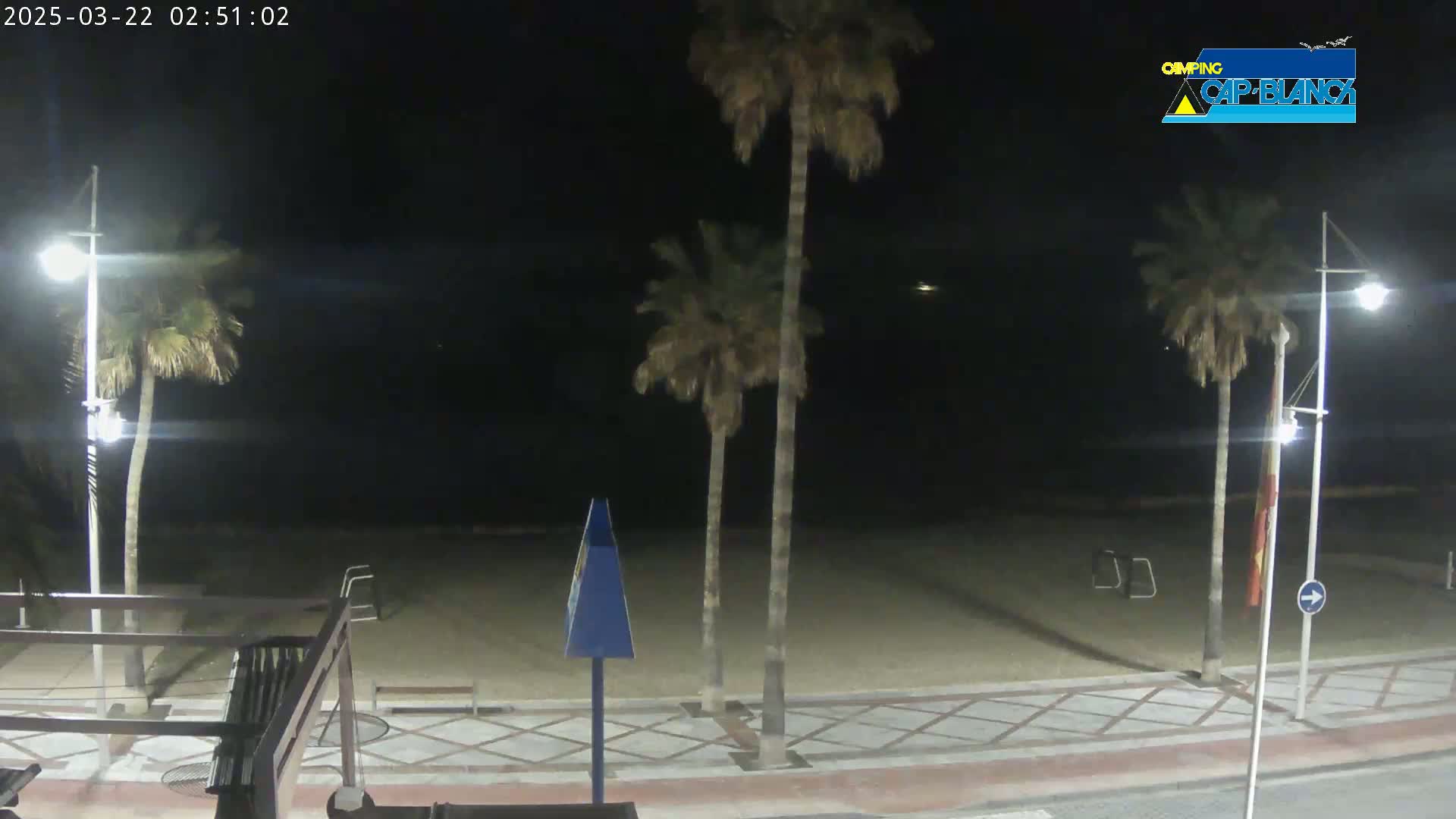 At night, a mostly empty sandy beach is bordered by a paved walkway lined with palm trees and streetlights.