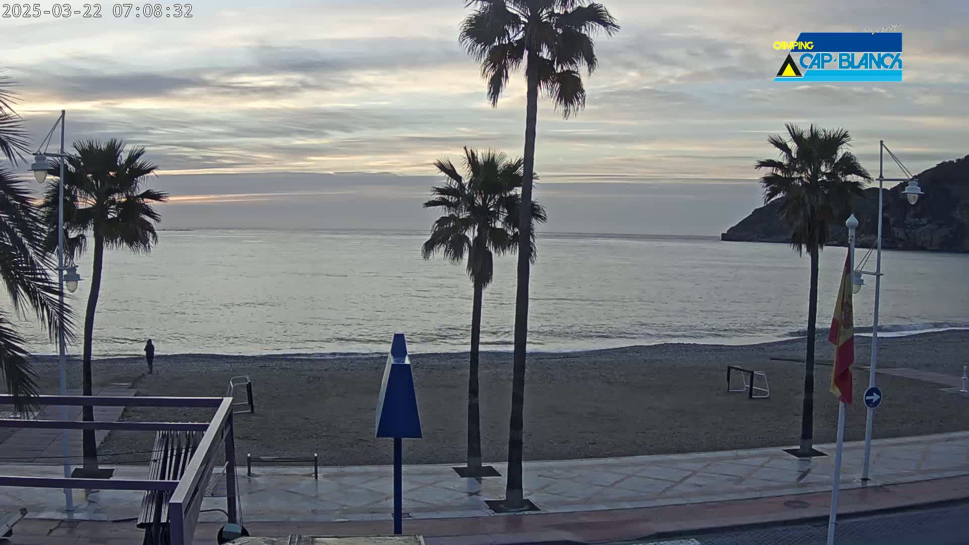 A calm, gray-toned ocean stretches to a beach lined with palm trees and a paved walkway at sunrise.