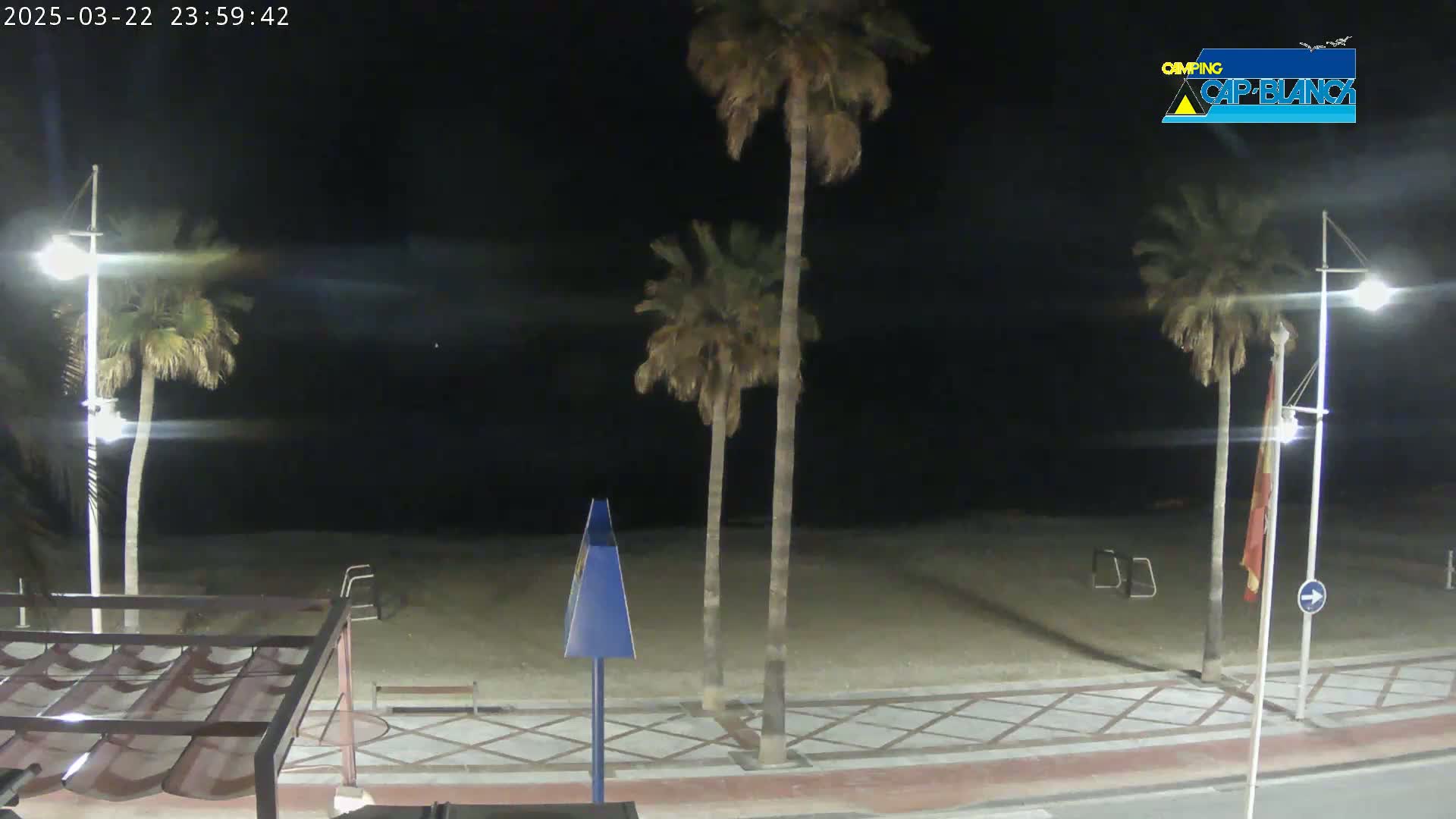 A nighttime beach scene shows a sandy beach, palm trees, streetlights, and a paved walkway under a clear, dark sky.