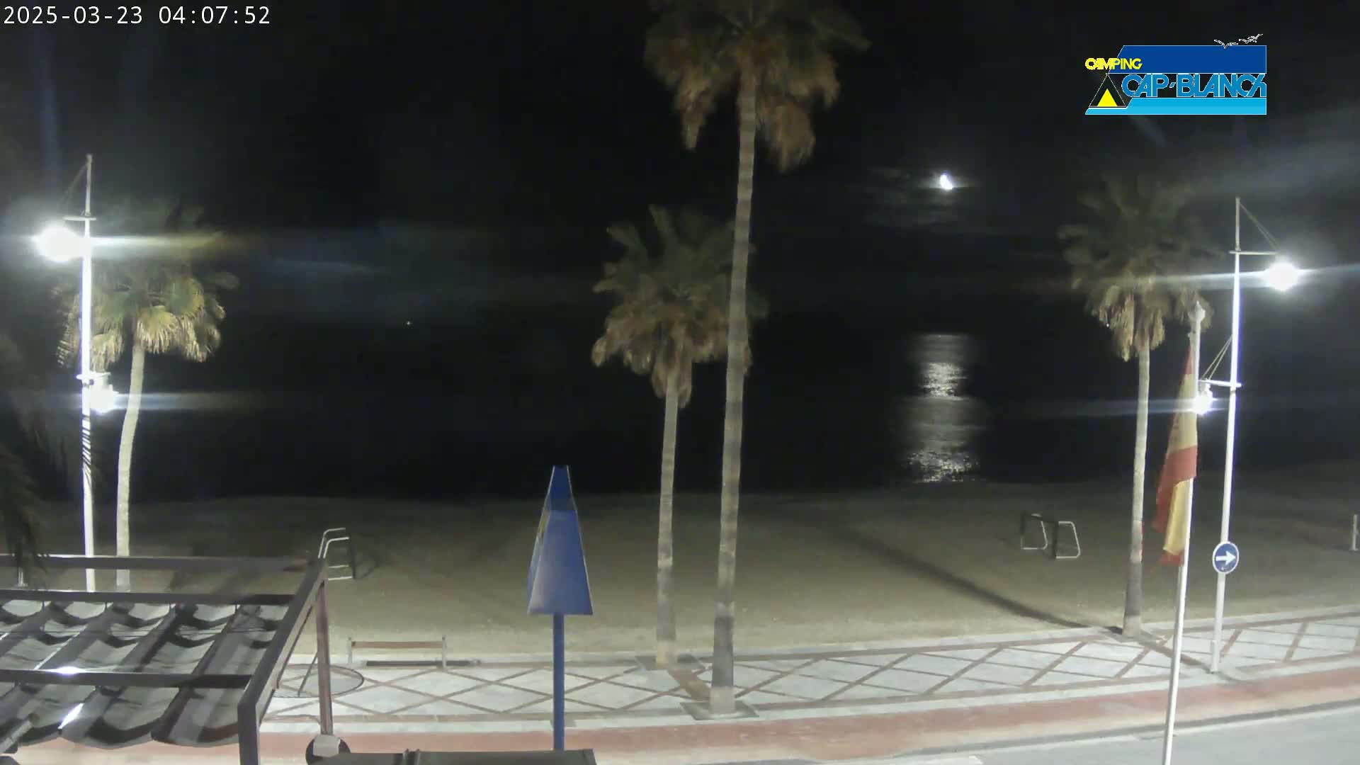 A nighttime view of a sandy beach with palm trees, streetlights, and a calm ocean reflecting moonlight.