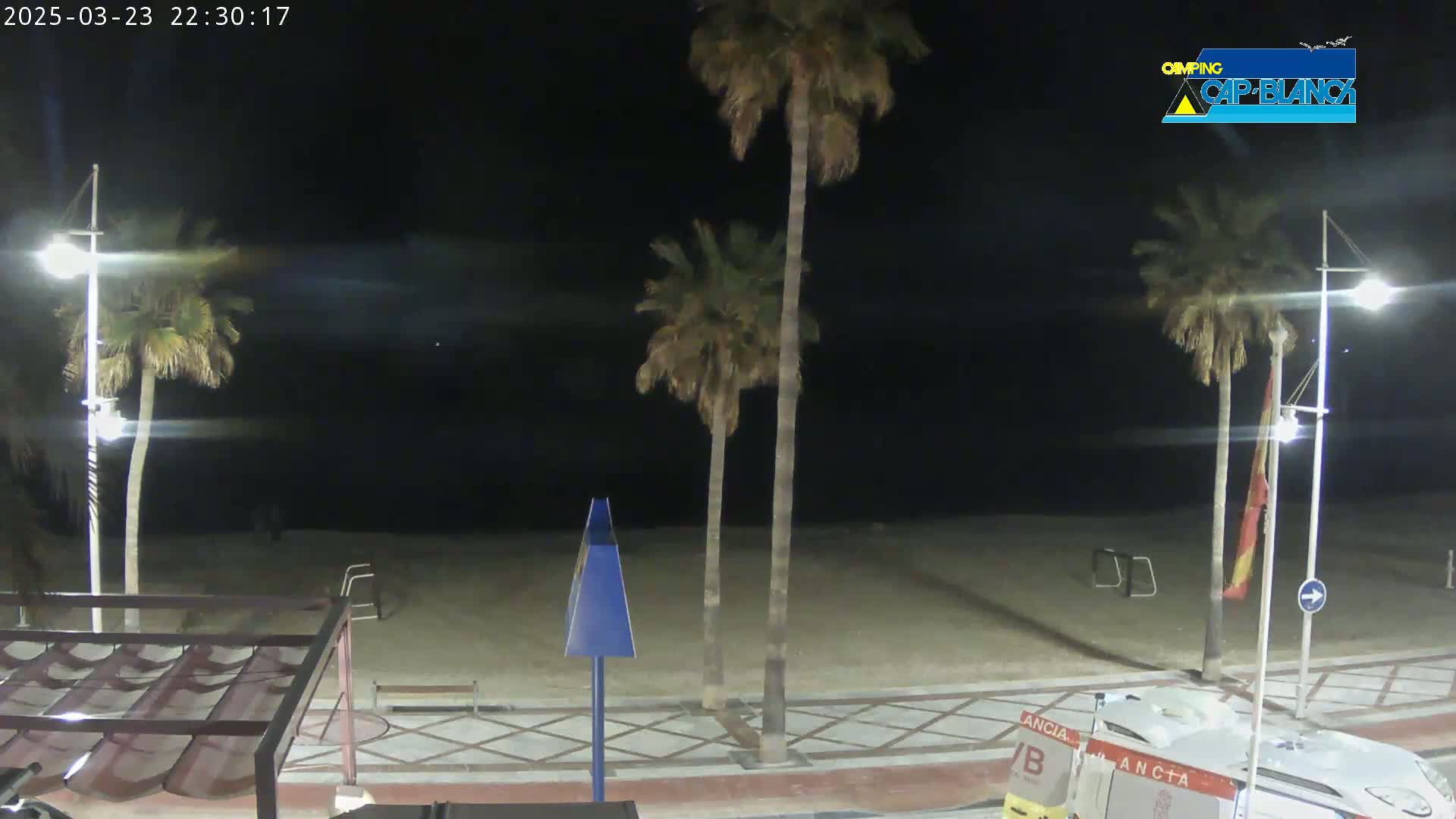 A nighttime beach scene shows palm trees lining a paved walkway next to a sandy beach, under a clear, dark sky.