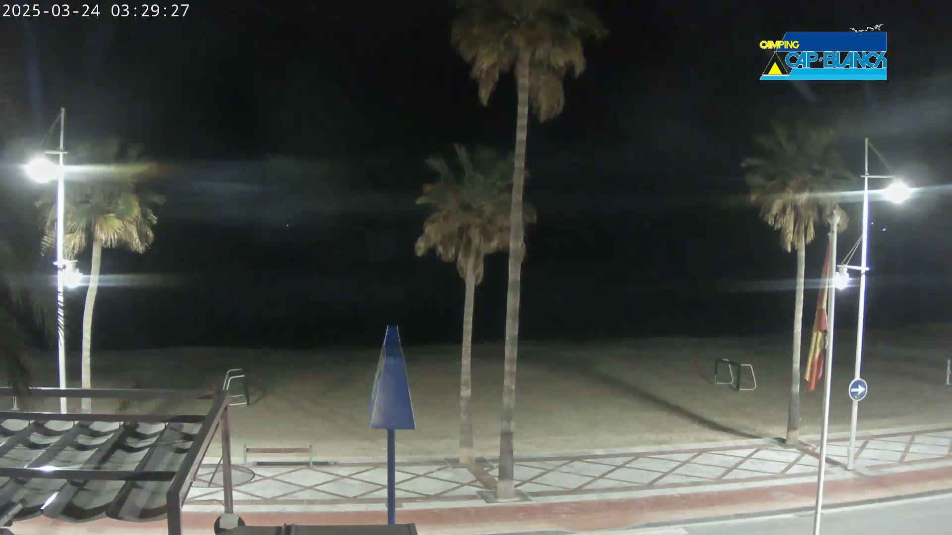 At night, a sandy beach is seen beyond a paved walkway lined with palm trees and streetlights.
