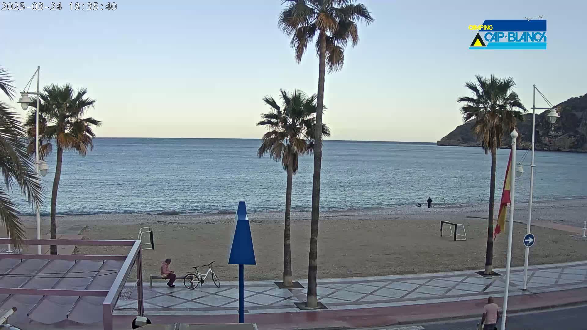 A sandy beach with palm trees and a calm ocean under a clear, twilight sky is viewed from a boardwalk, where a person sits on a bench near a bicycle.