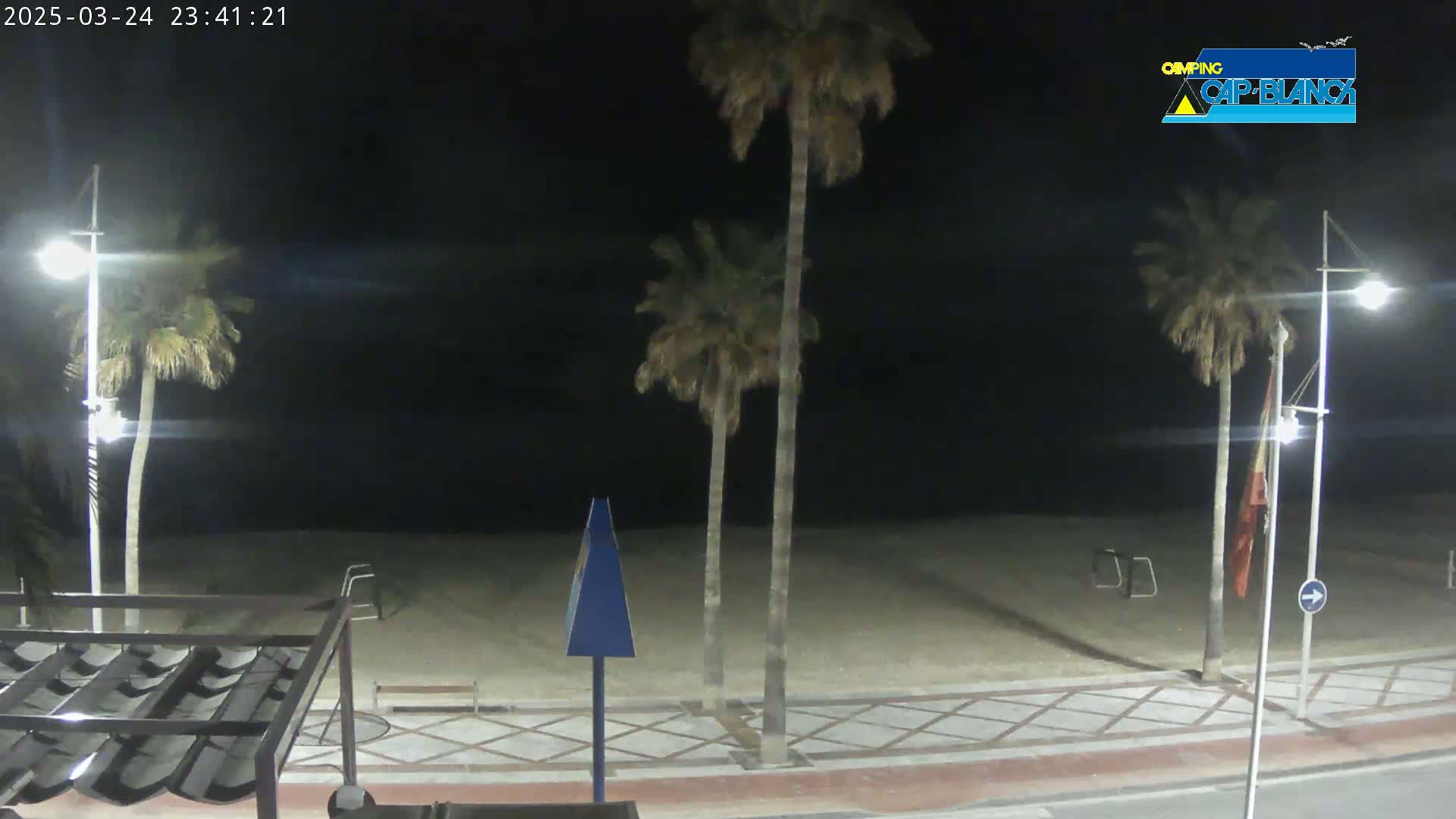 A nighttime view of a sandy beach with palm trees and streetlights, under a dark sky.