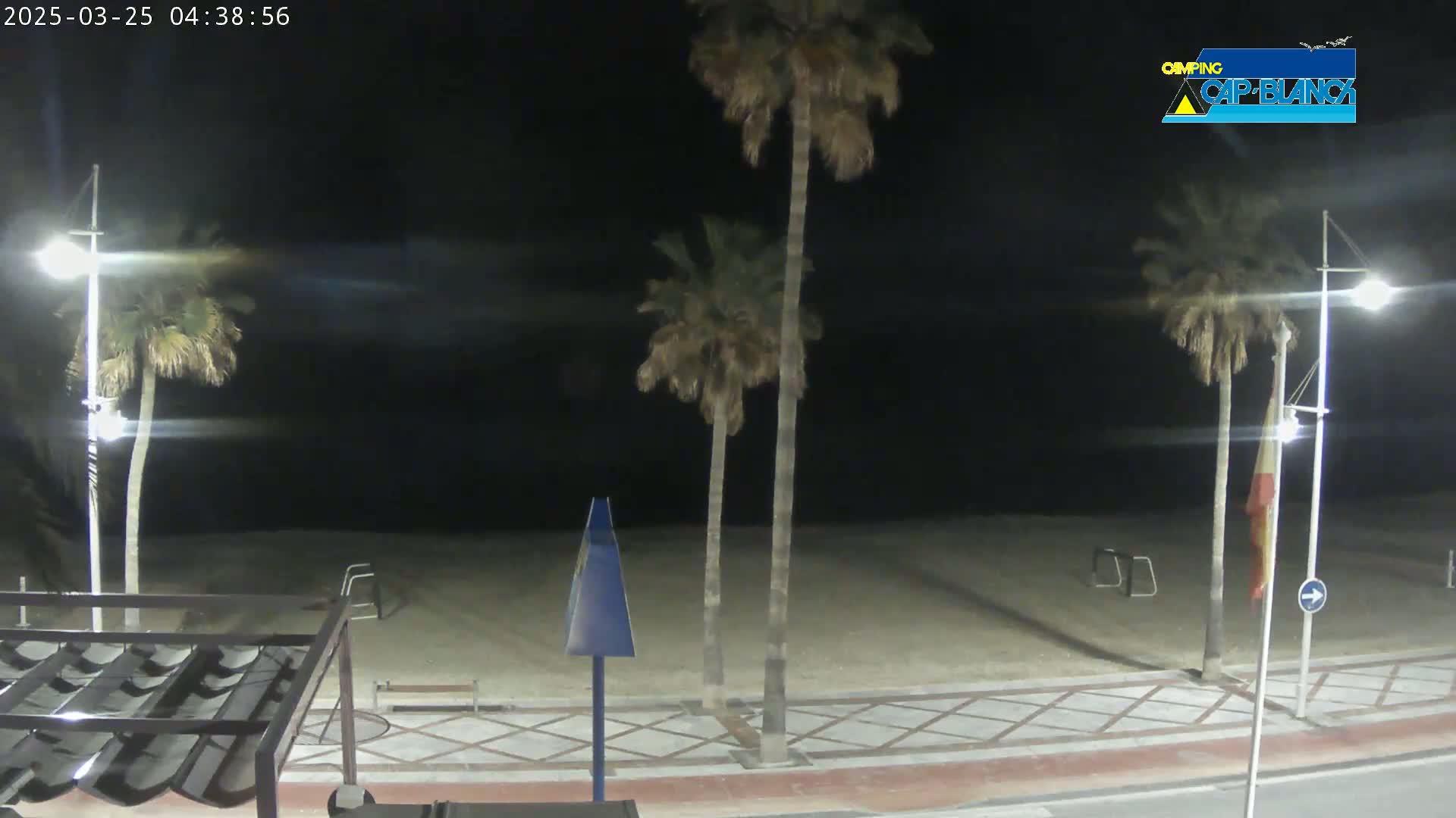 A nighttime view of a sandy beach bordered by palm trees, streetlights, and a paved walkway.