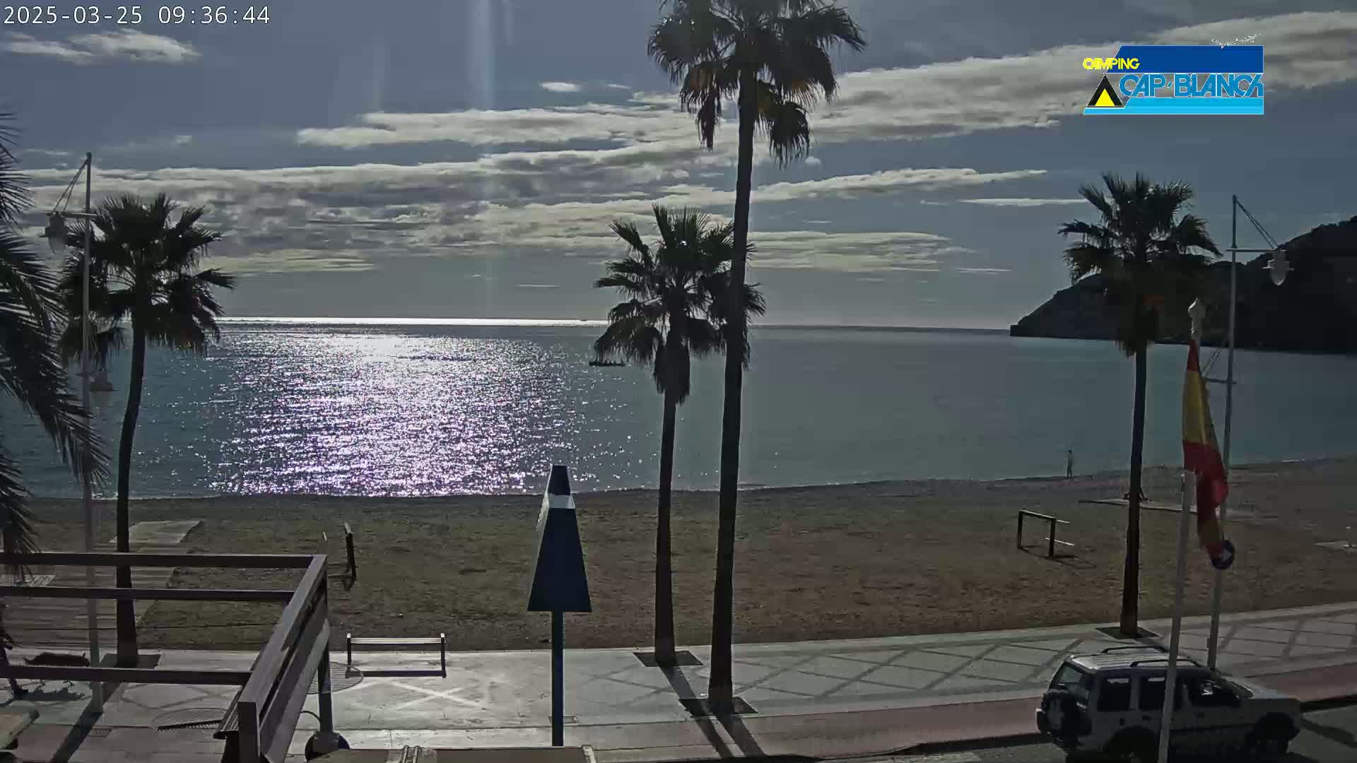 A mostly sunny day at a beach with palm trees, a sandy shore, and calm water reflecting sunlight.