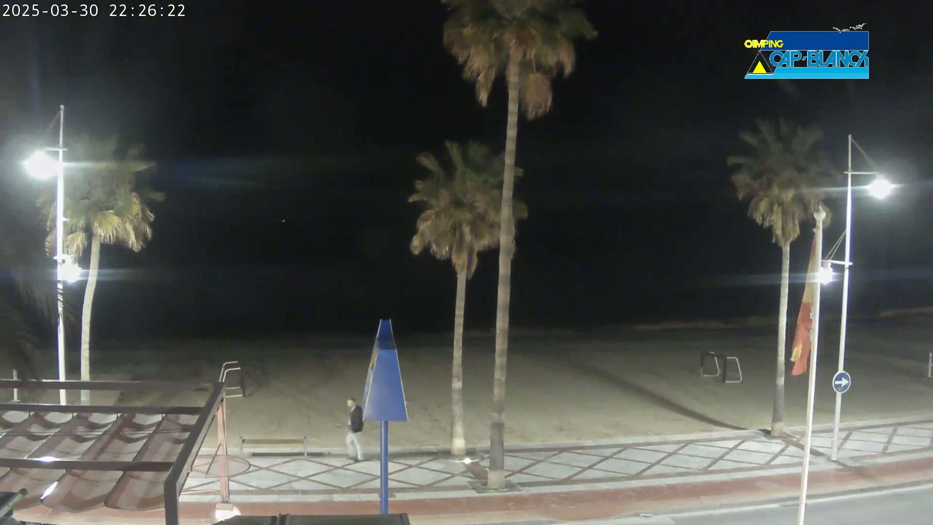 A nighttime view of a sandy beach with palm trees, streetlights, and a single person walking along a paved walkway.