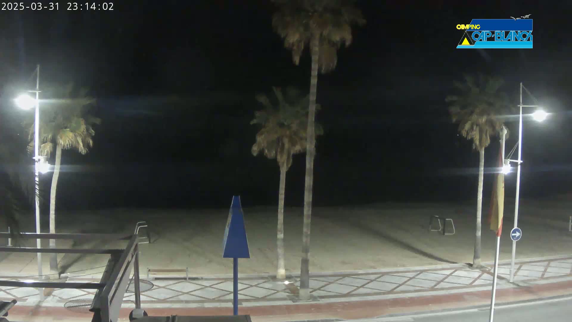 A nighttime view of a sandy beach, palm trees, and streetlights along a paved walkway under a clear, dark sky.