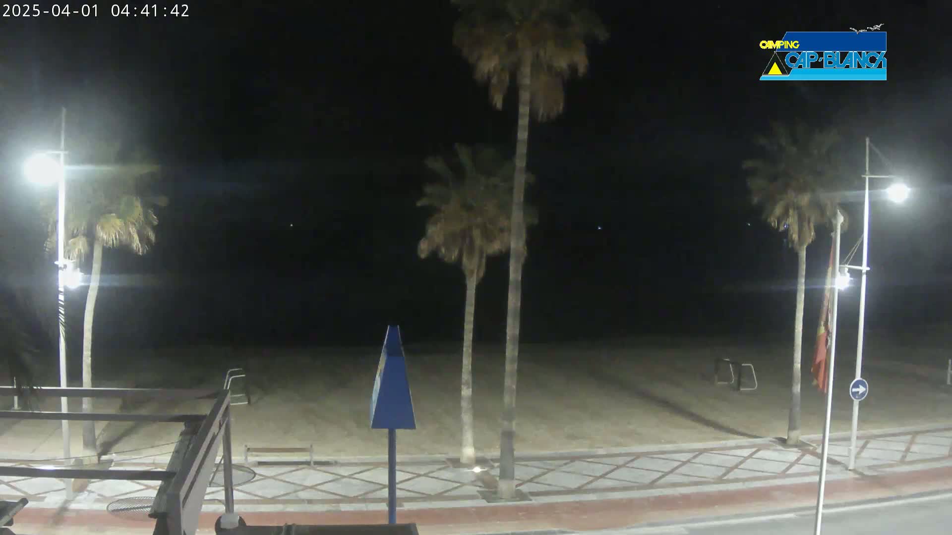 A nighttime view of a sandy beach, palm trees, and streetlights illuminating a paved walkway.