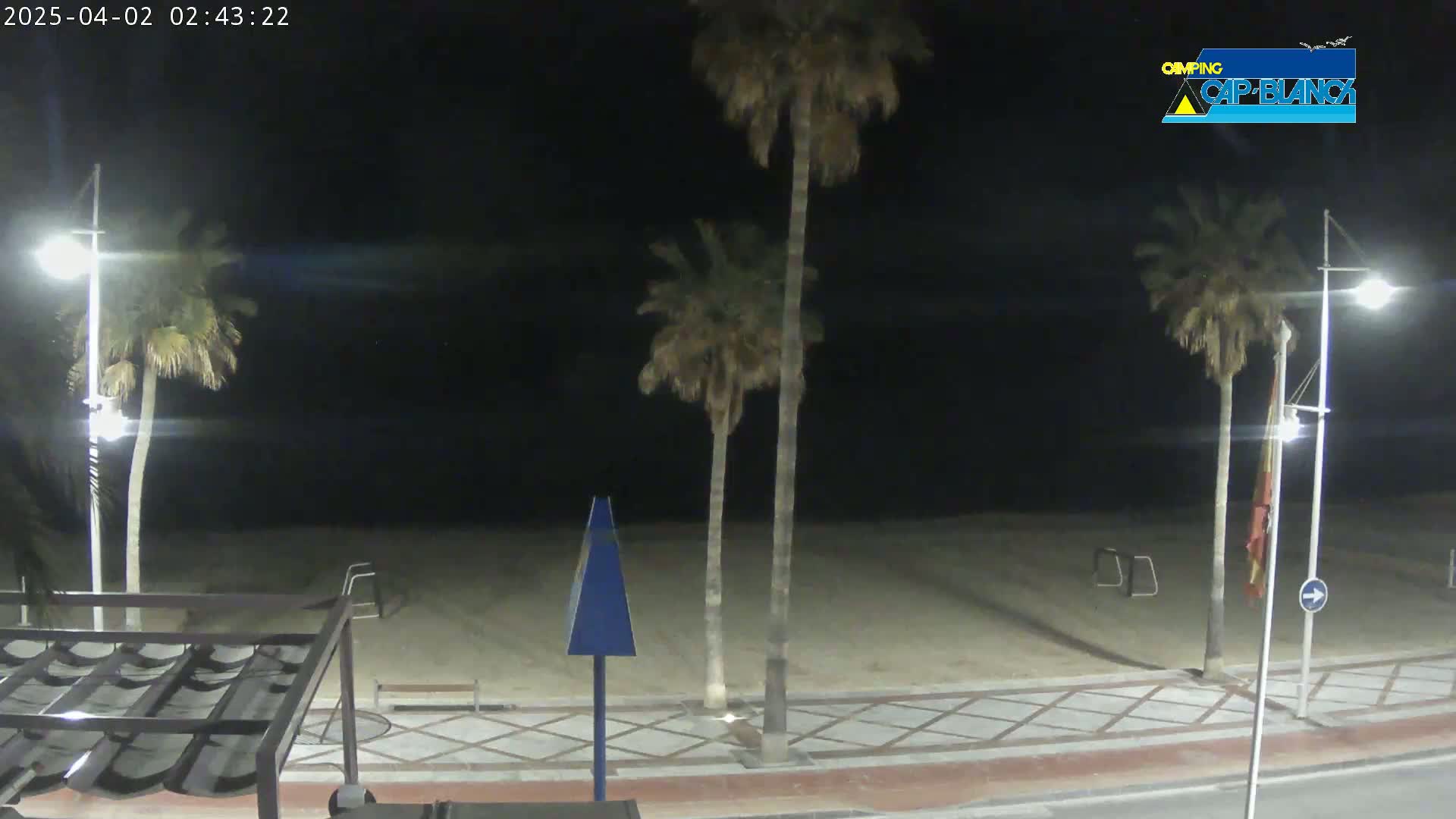 A nighttime view of a sandy beach with palm trees, streetlights, and a paved walkway.