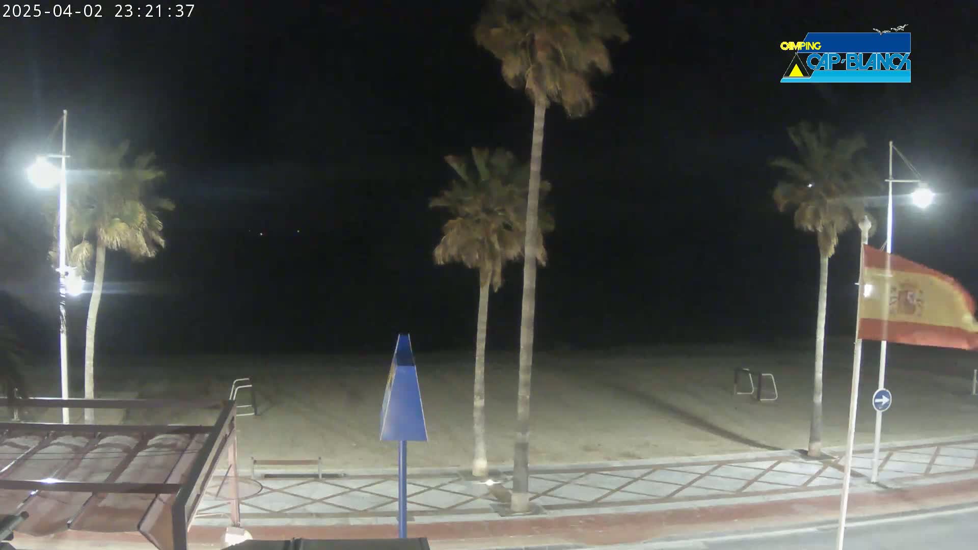 A nighttime view of a sandy beach, palm trees, and streetlights under a clear, dark sky.