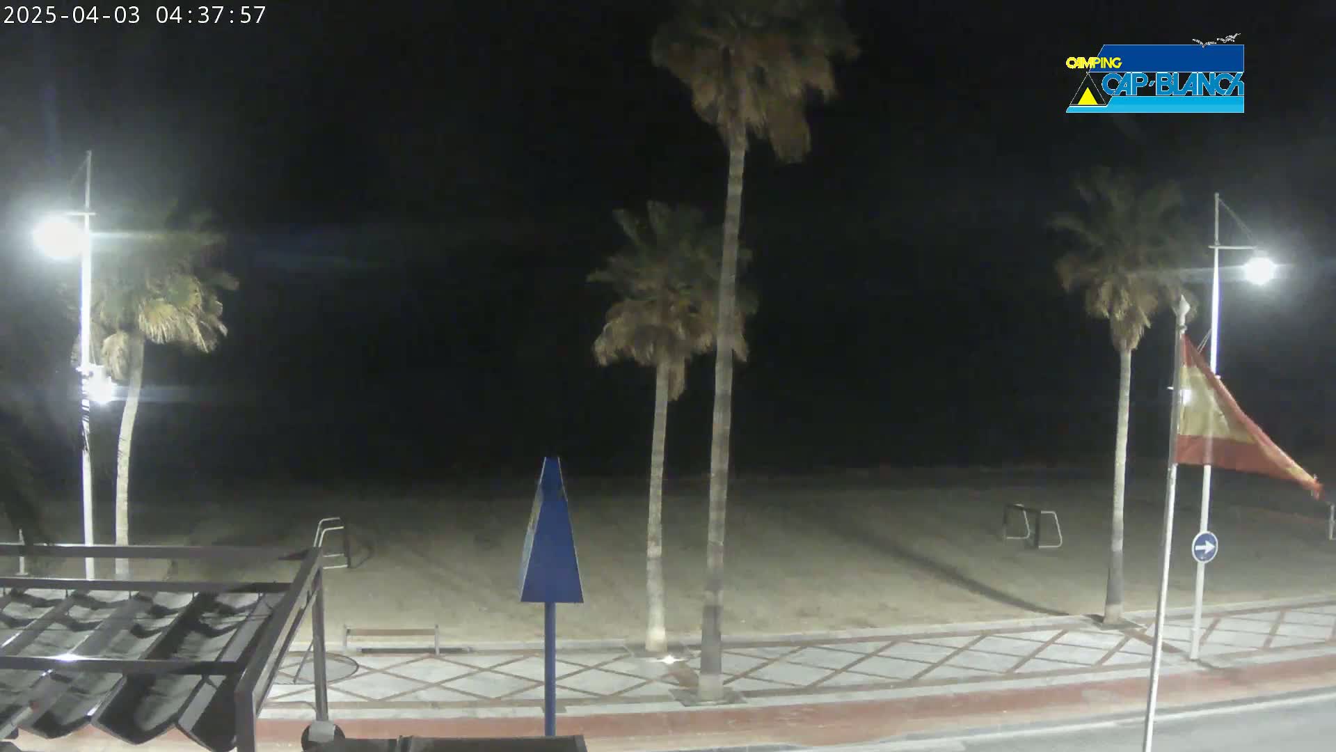 A nighttime beach scene shows several palm trees swaying gently near a paved walkway and sandy beach under a dark sky.