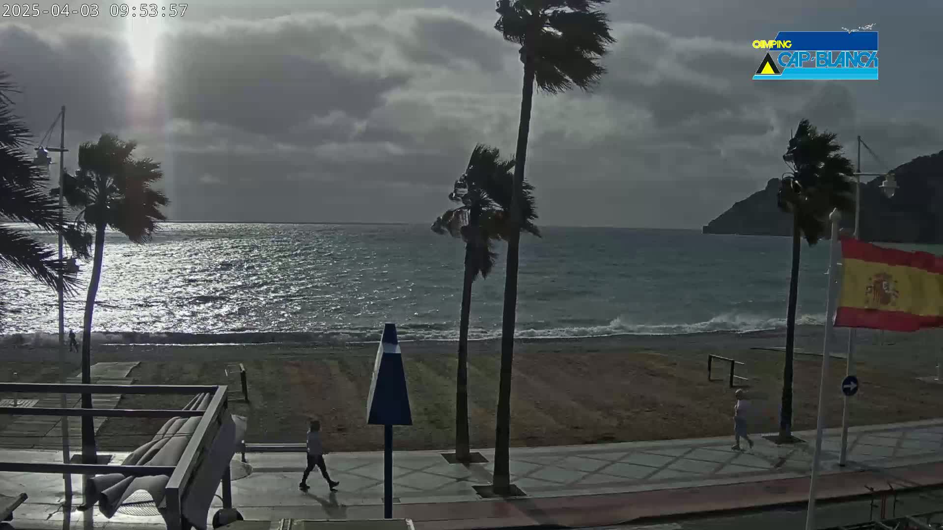 A windy, overcast day at a beach shows palm trees bending in the breeze, people walking along a paved beachfront path, and a calm sea with small waves.