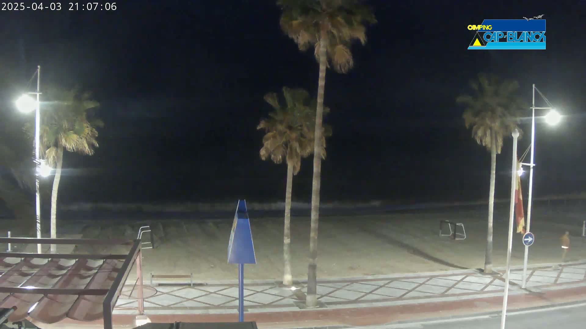 At night, a mostly empty sandy beach is bordered by a paved walkway lined with palm trees and streetlights, with gentle waves visible in the ocean.