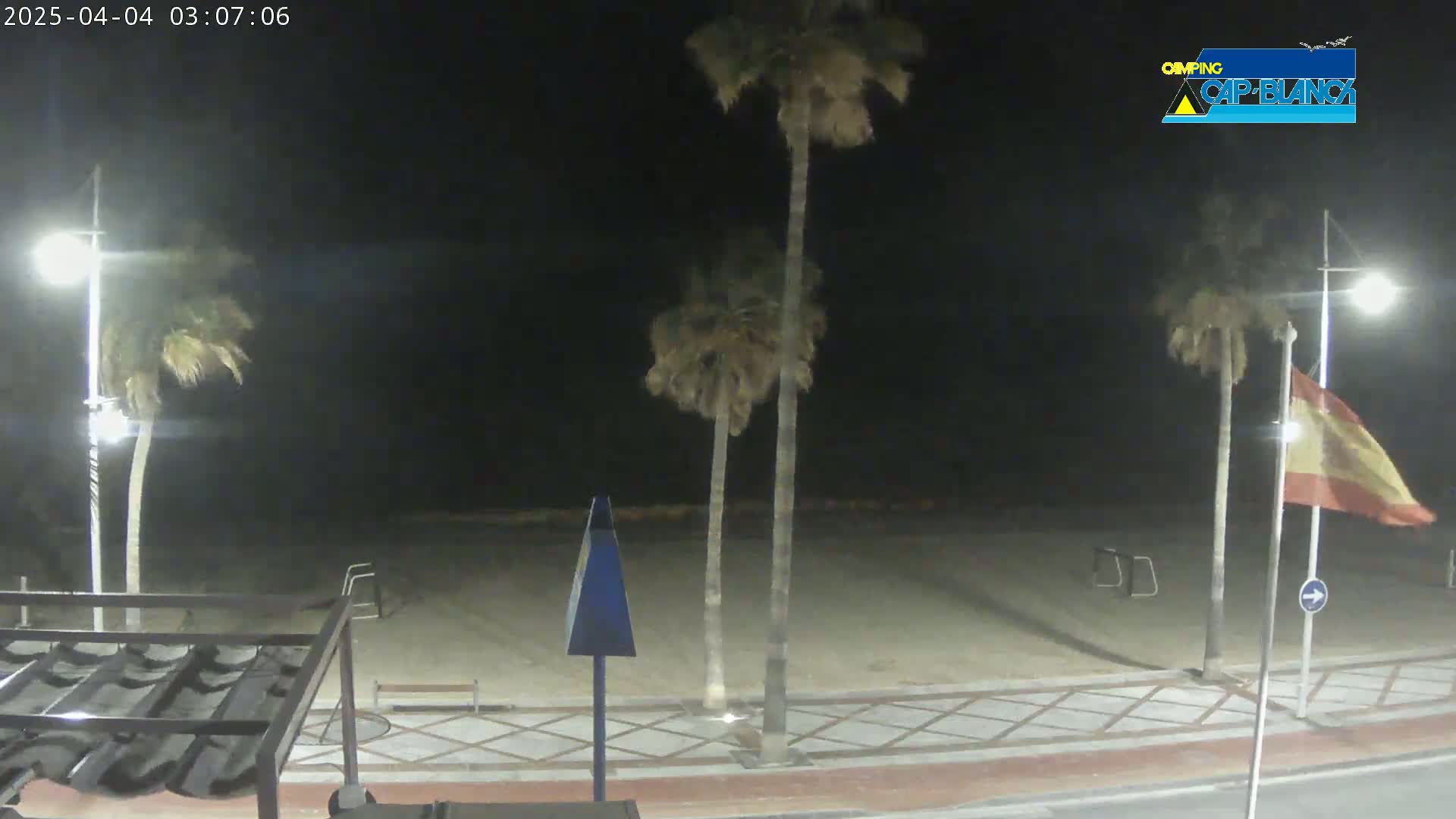 A nighttime beach scene shows palm trees swaying in the wind along a paved walkway near a sandy beach.