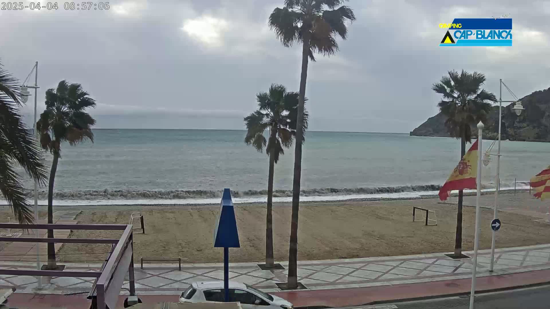 A sandy beach with palm trees and a partially cloudy sky overlooks a somewhat choppy sea.
