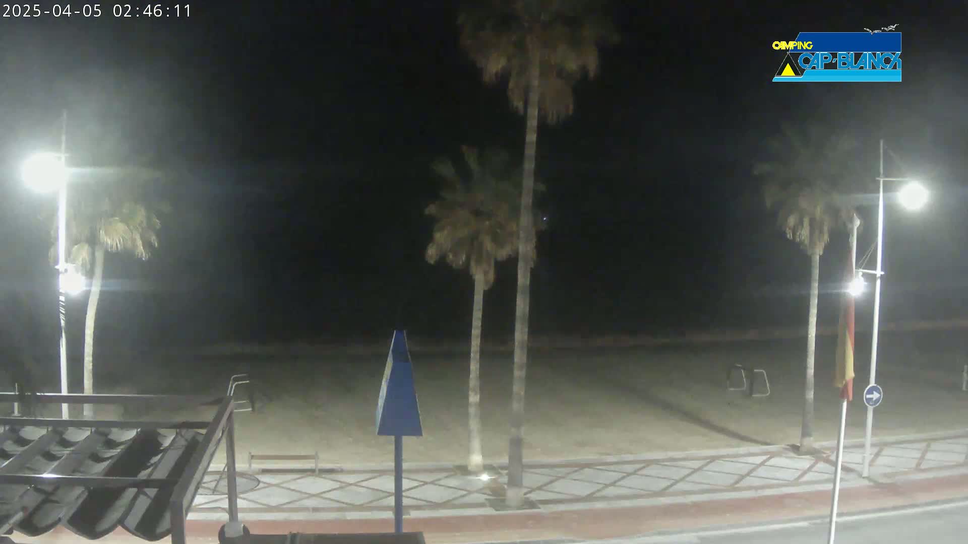 A nighttime view of a beachside promenade with palm trees, streetlights, and a partially visible sandy beach under a clear, dark sky.