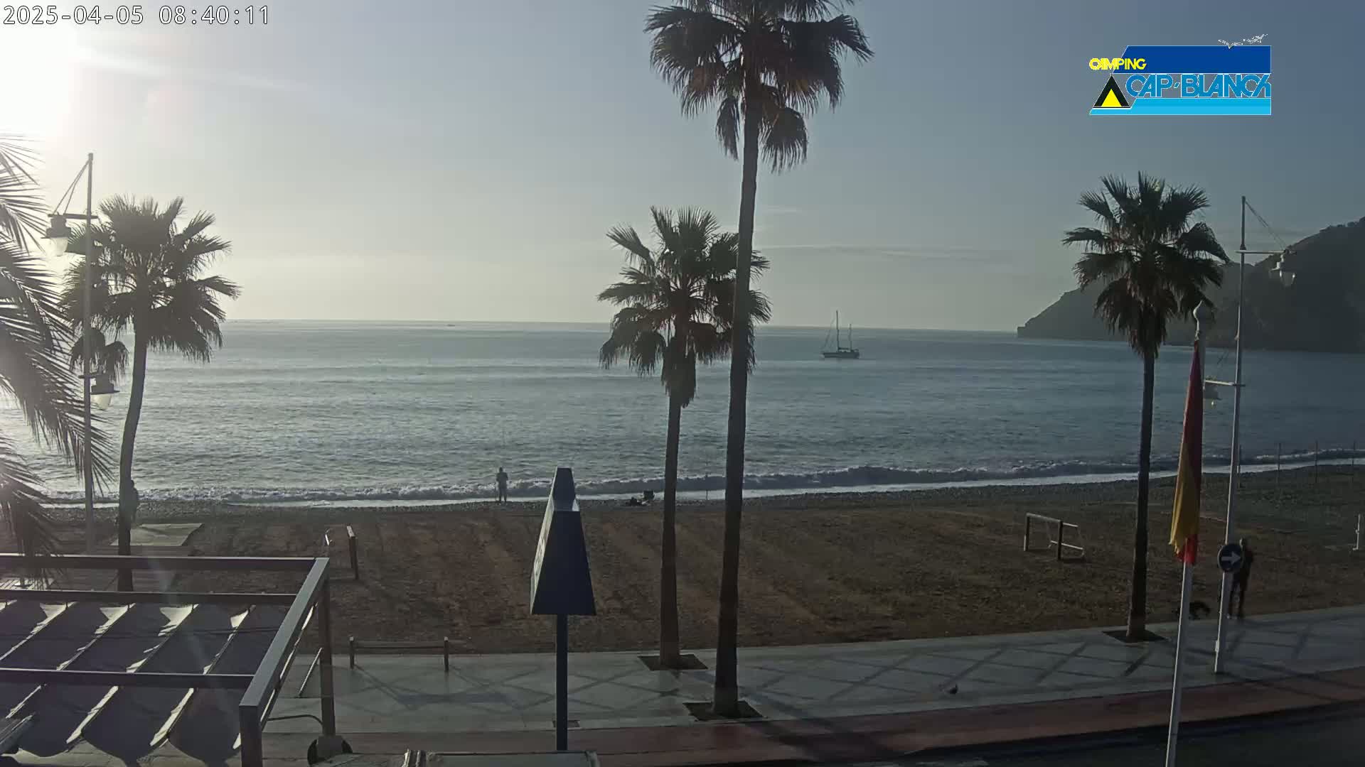 A sandy beach with palm trees and a calm ocean under a clear, bright sky is seen from a boardwalk.