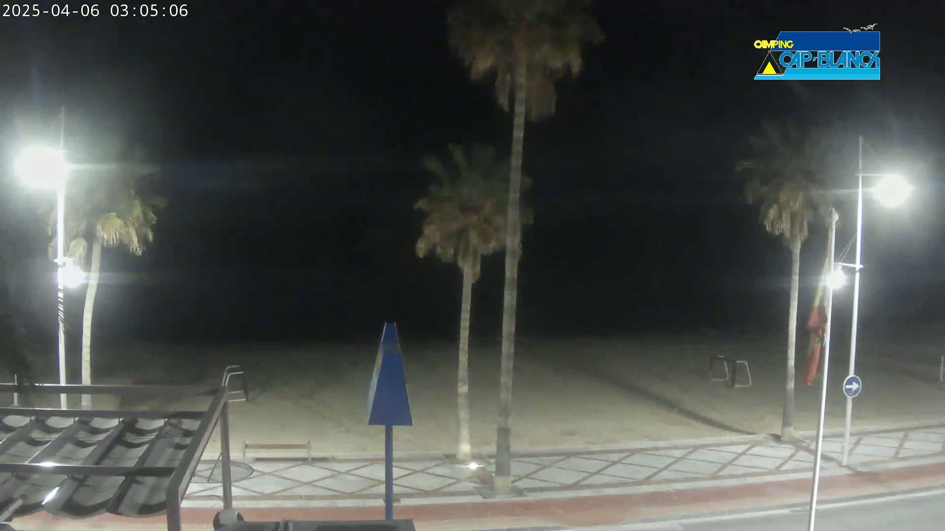A nighttime view of a sandy beach with palm trees, streetlights, and a tiled walkway.