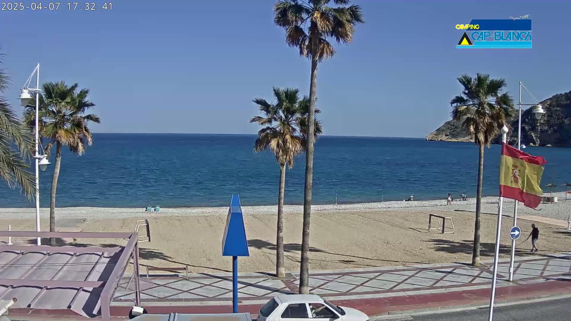 A sandy beach with palm trees and a calm blue sea under a clear sunny sky.