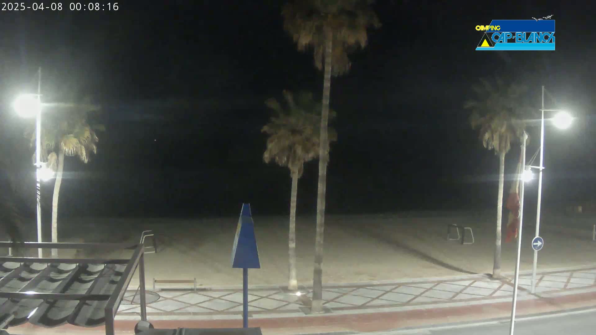 A nighttime view of a sandy beach with palm trees and streetlights, under a clear, dark sky.