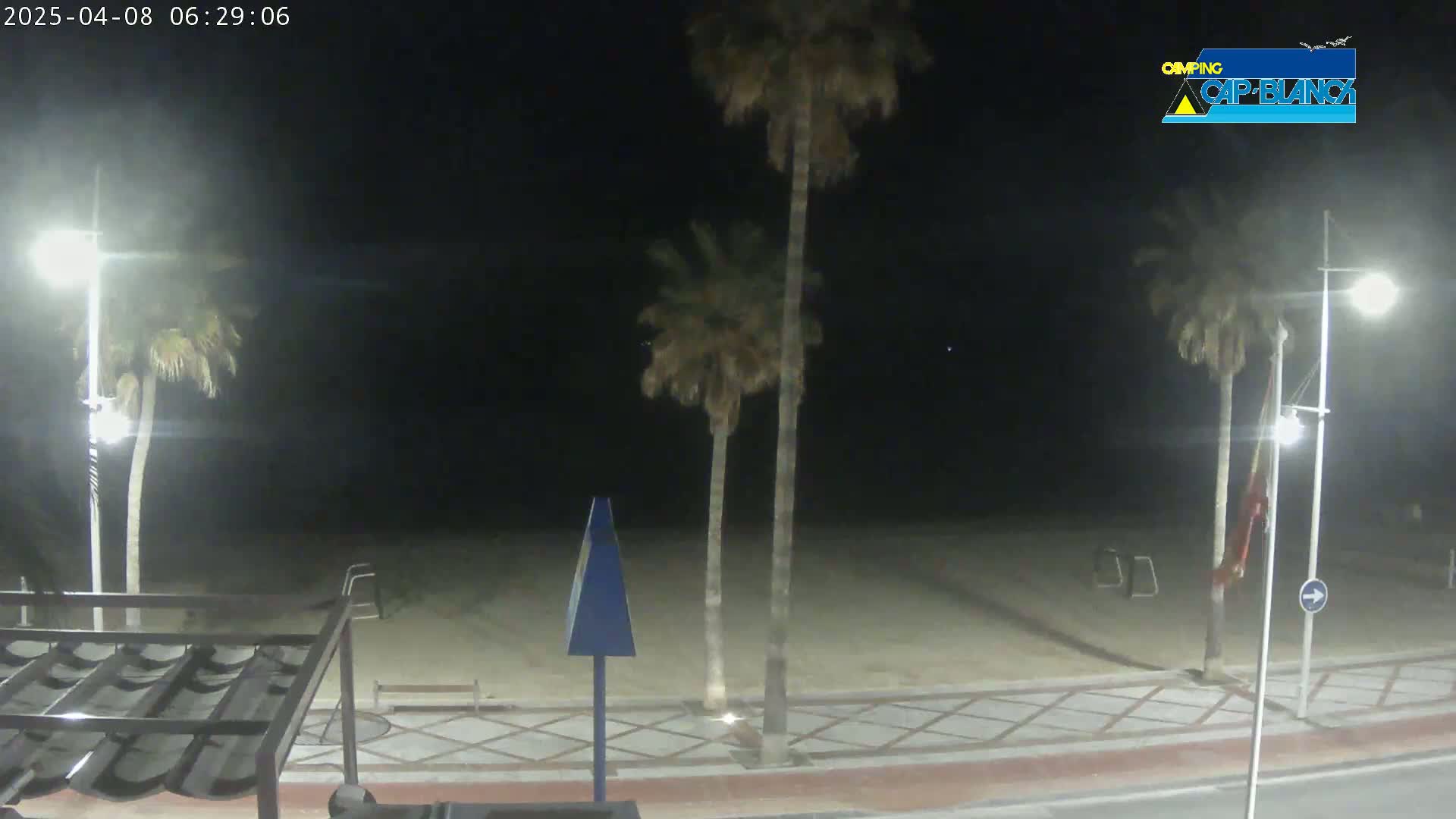 A nighttime view of a sandy beach with palm trees, streetlights, and a paved walkway.