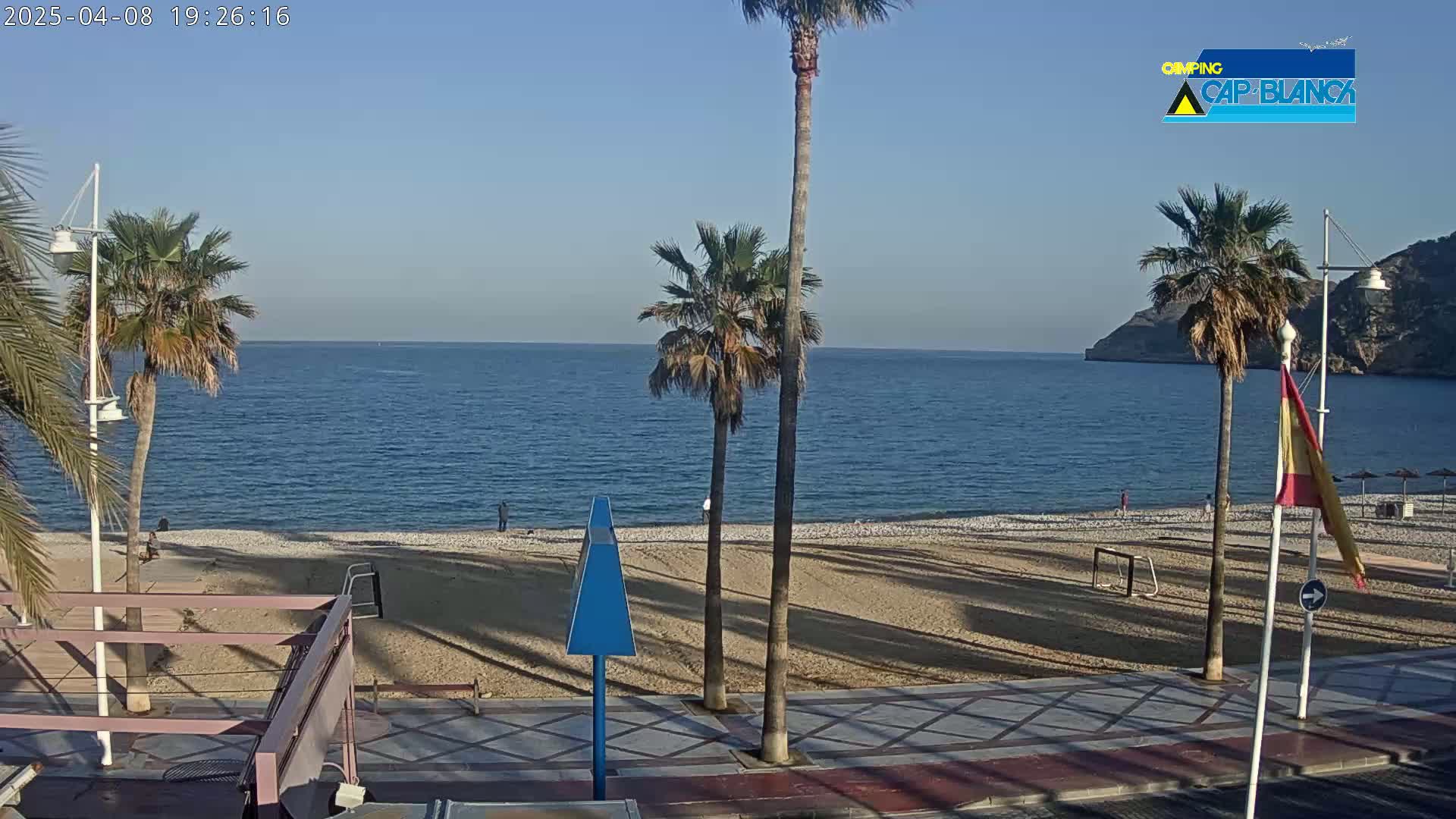 A sandy beach with palm trees and a calm sea under a clear blue sky is seen from an elevated vantage point.