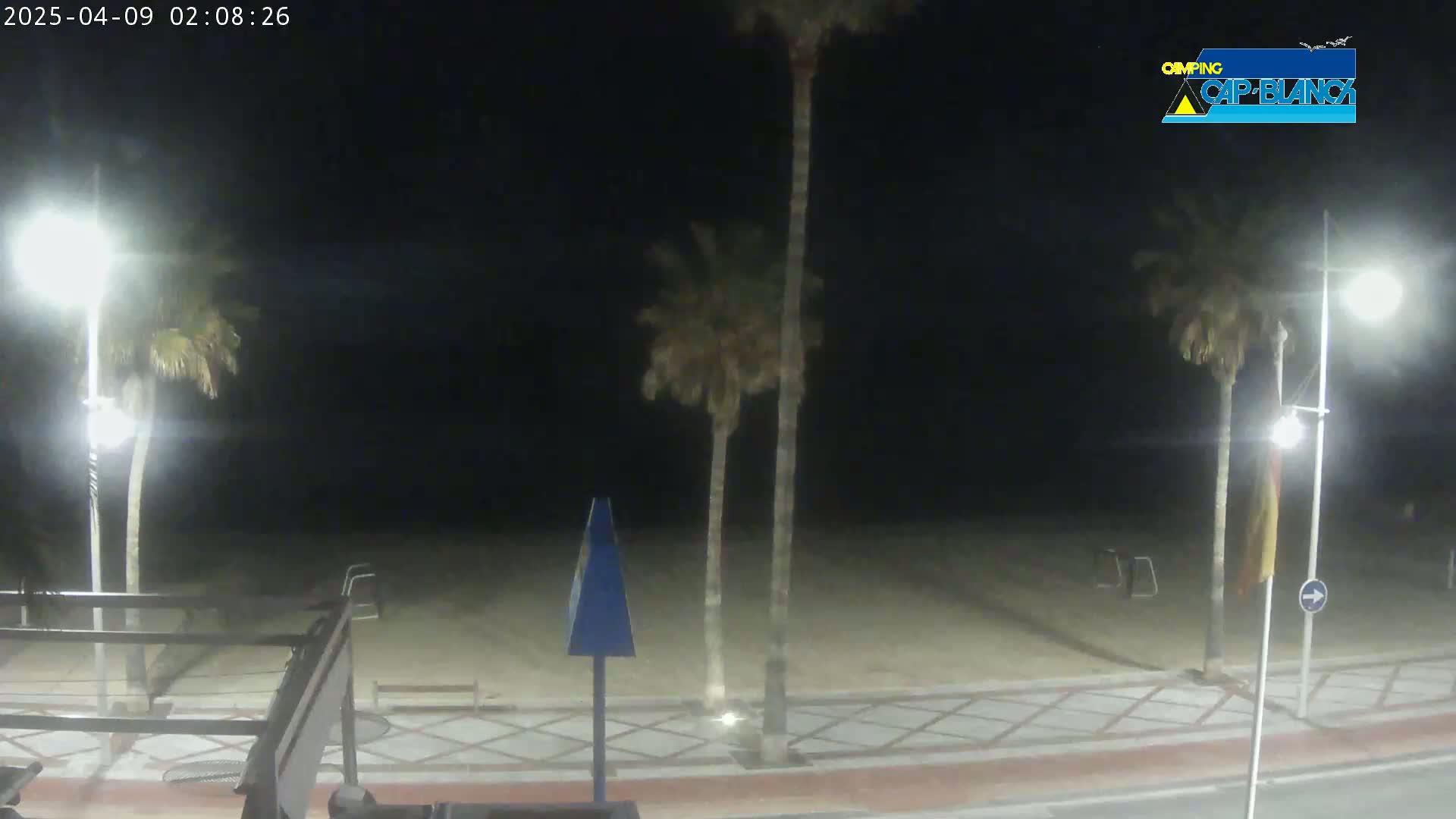 A nighttime view of a sandy beach with palm trees and streetlights illuminating a paved walkway.