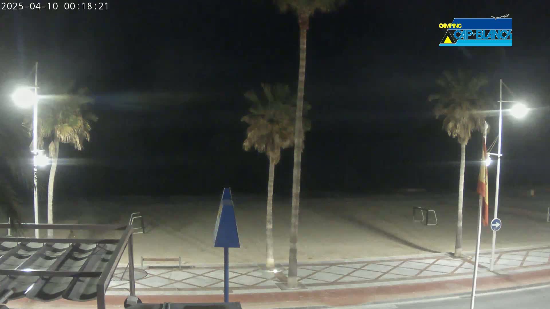 A nighttime view of a sandy beach, palm trees, and streetlights, under a dark, clear sky.